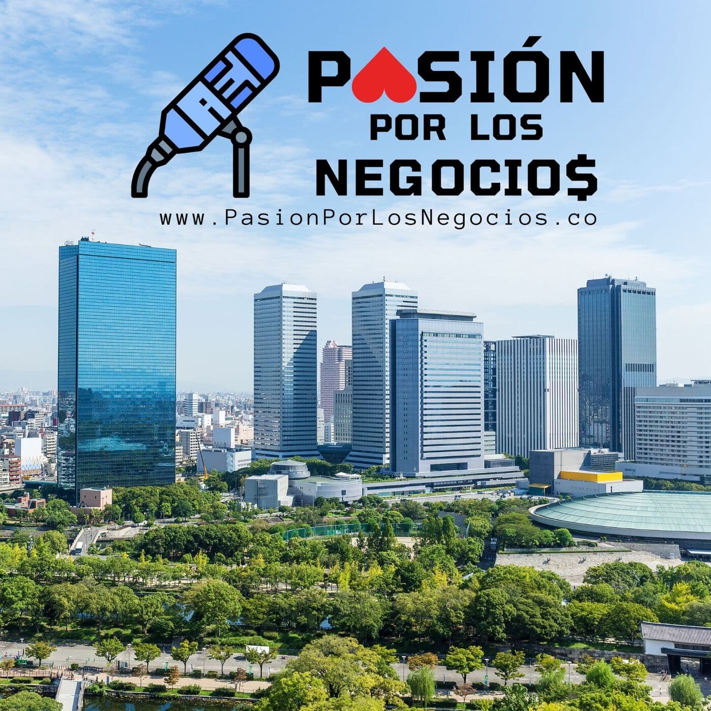 Pasión por los Negocios - Podcasts