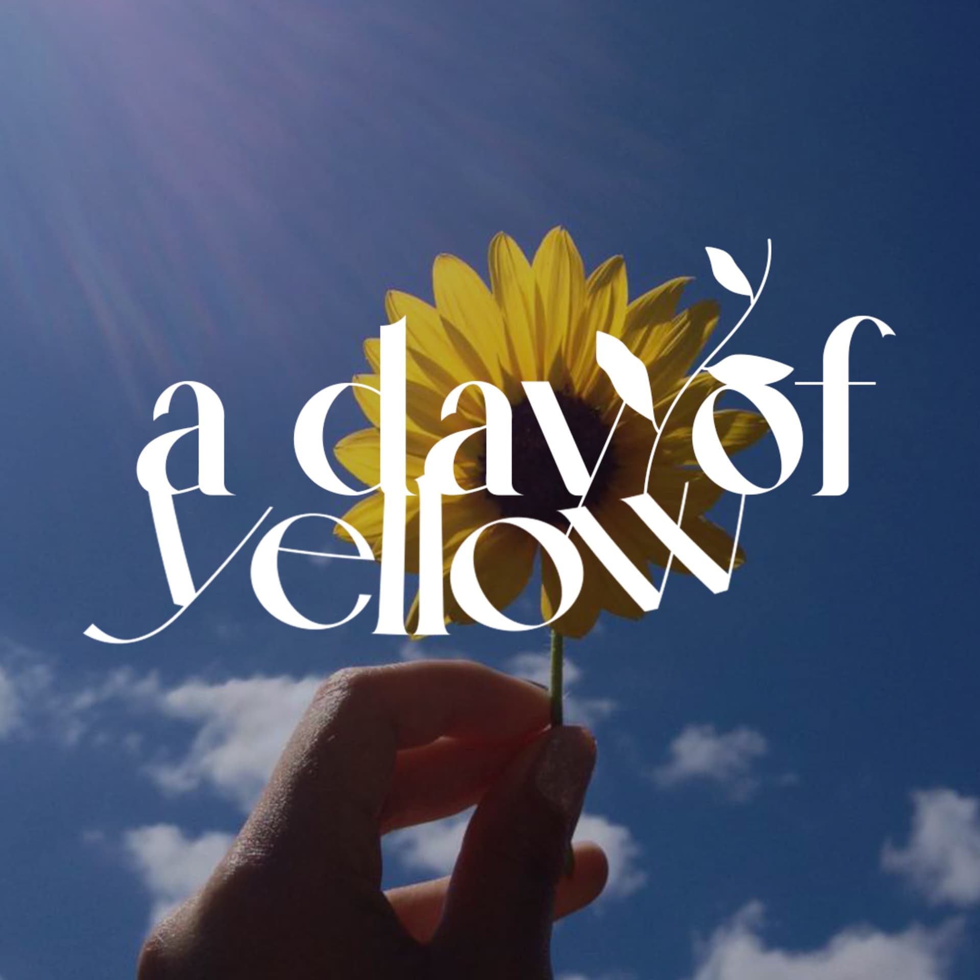 a day of yellow