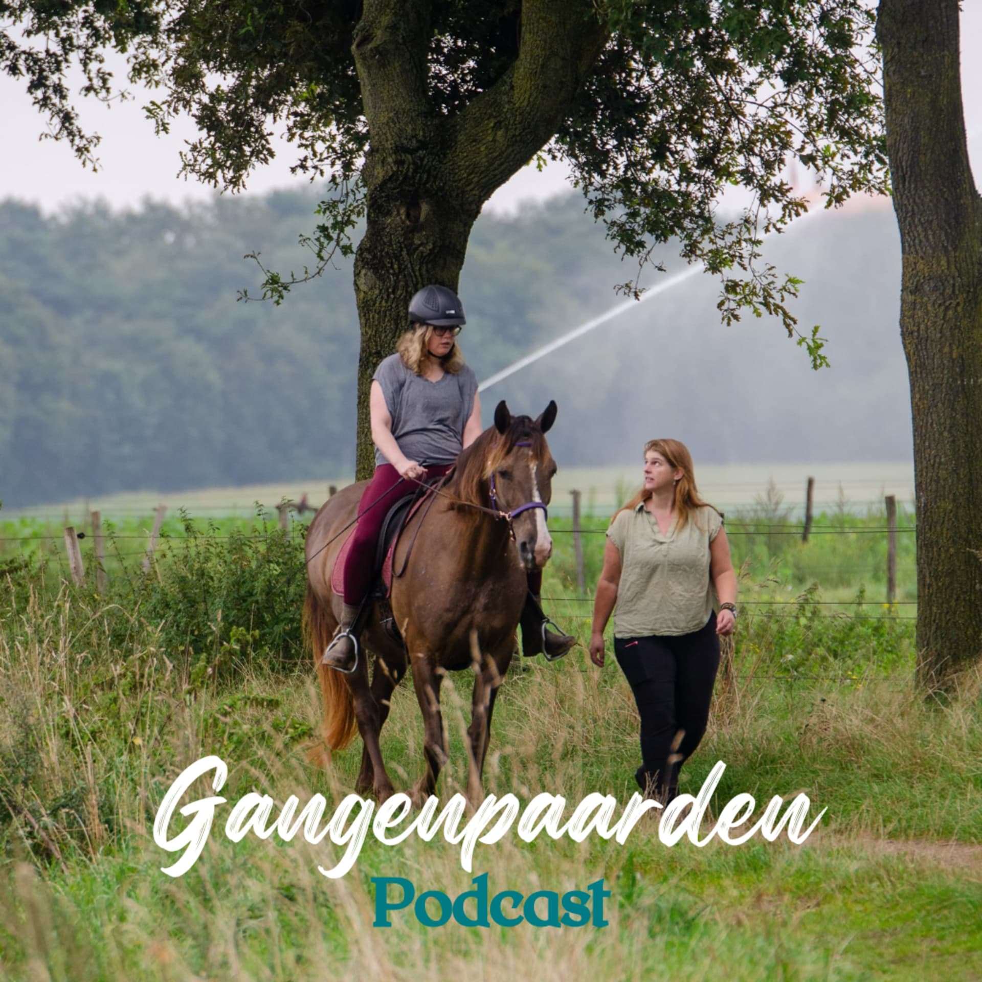 De Gangenpaarden Podcast - Podcasts