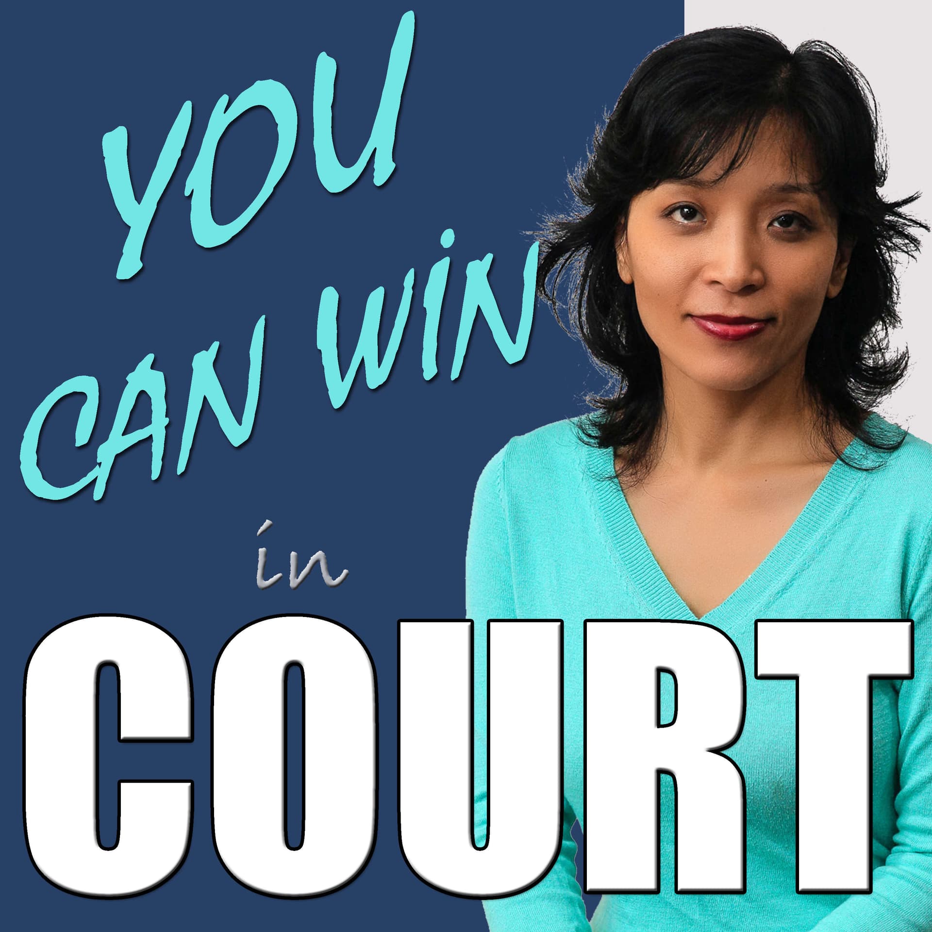 You Can Win in Court - Podcasts