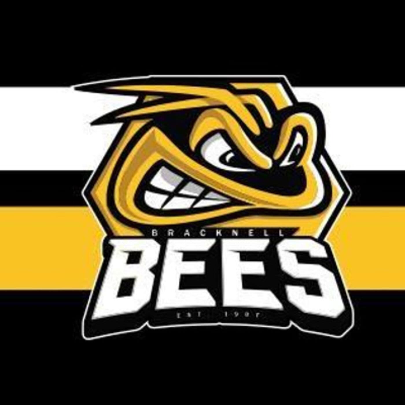 Bees Radio Network - The Podcast - Podcasts