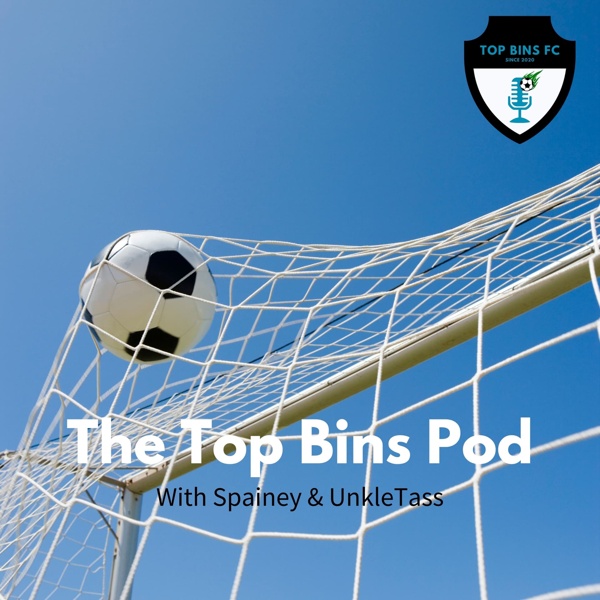 The Top Bins Pod - Podcasts
