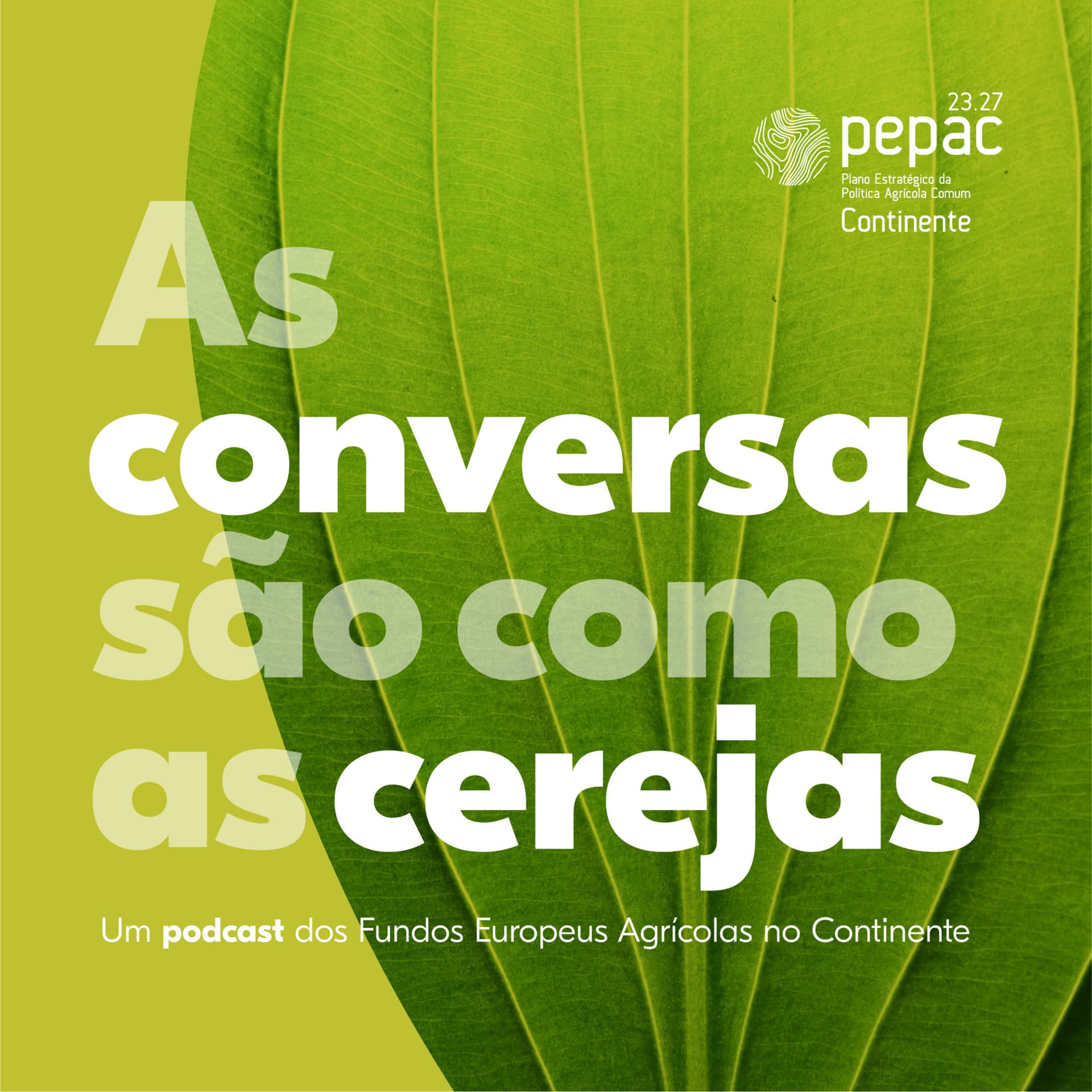 As conversas são como as cerejas - Podcasts