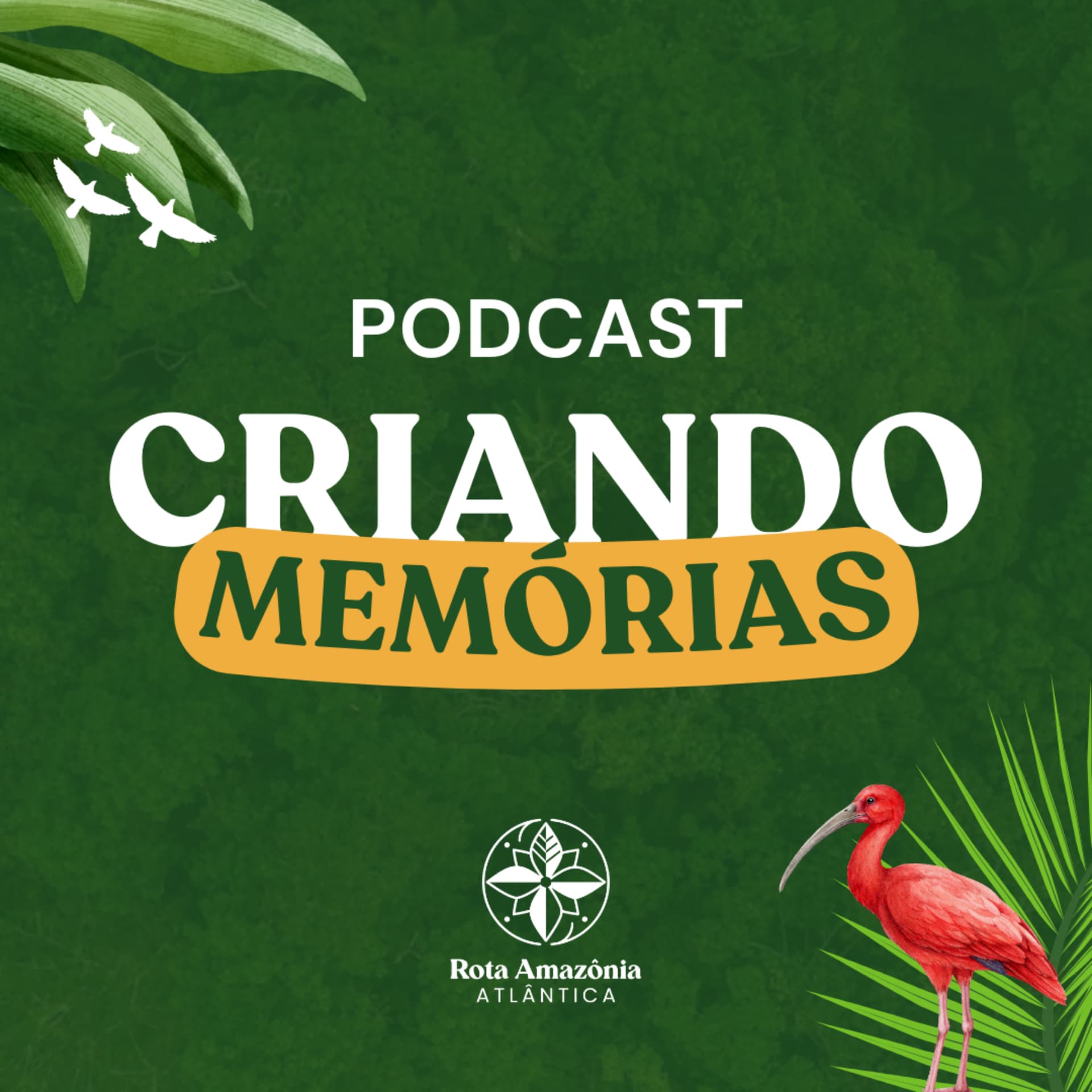 Criando memórias - Rota Amazônia Atlântica - Podcasts