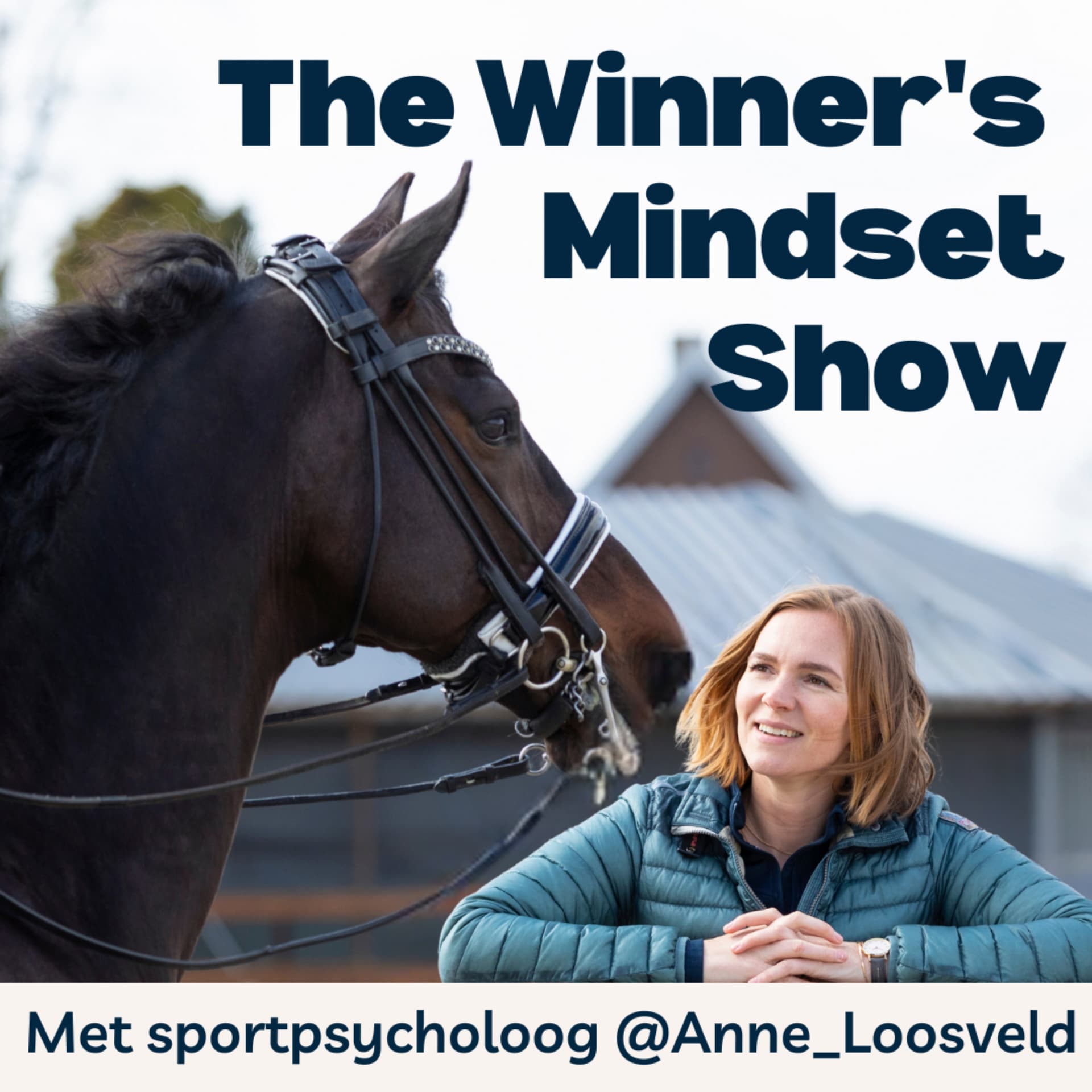 Winner's Mindset Show - Podcasts