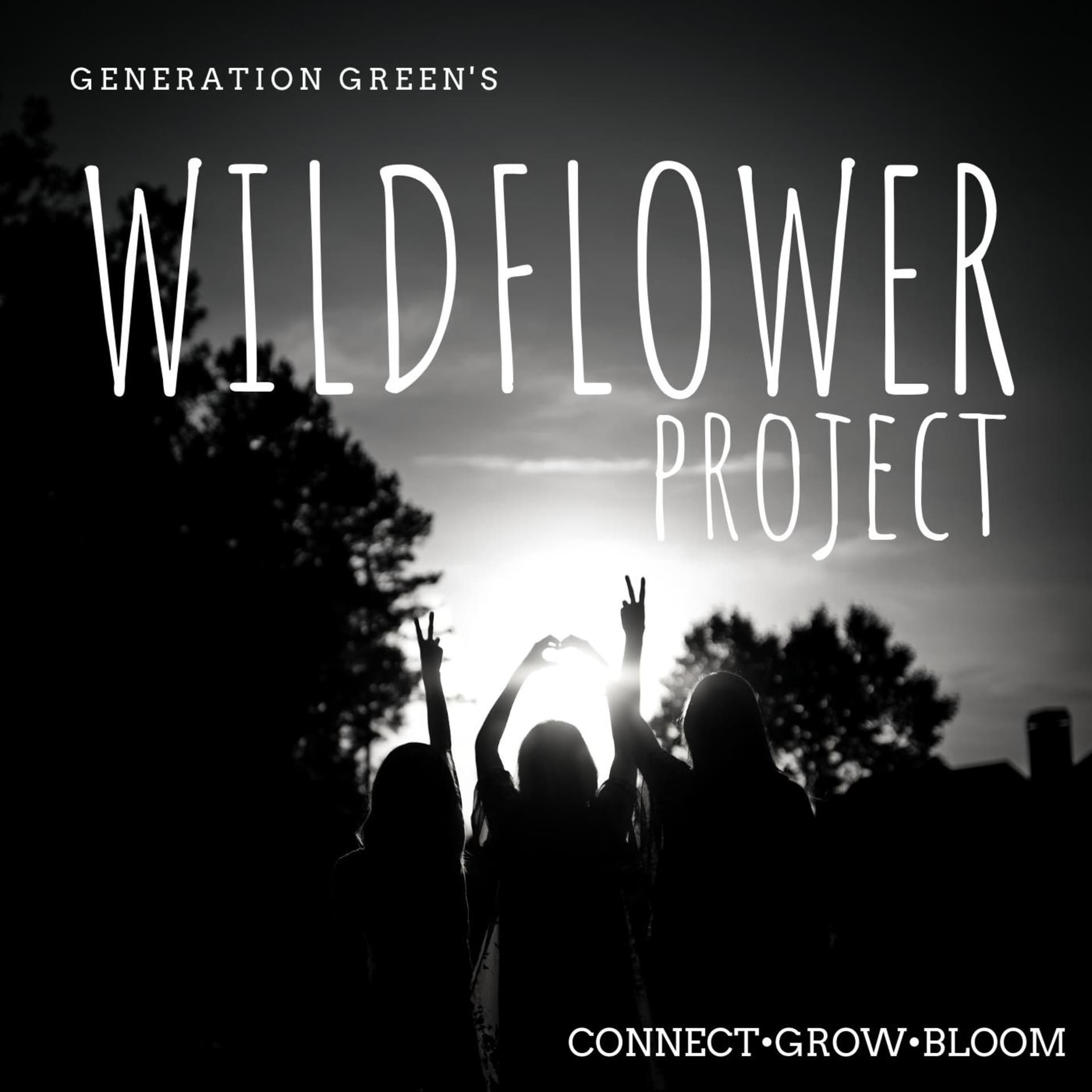 Wildflower Project - Podcasts
