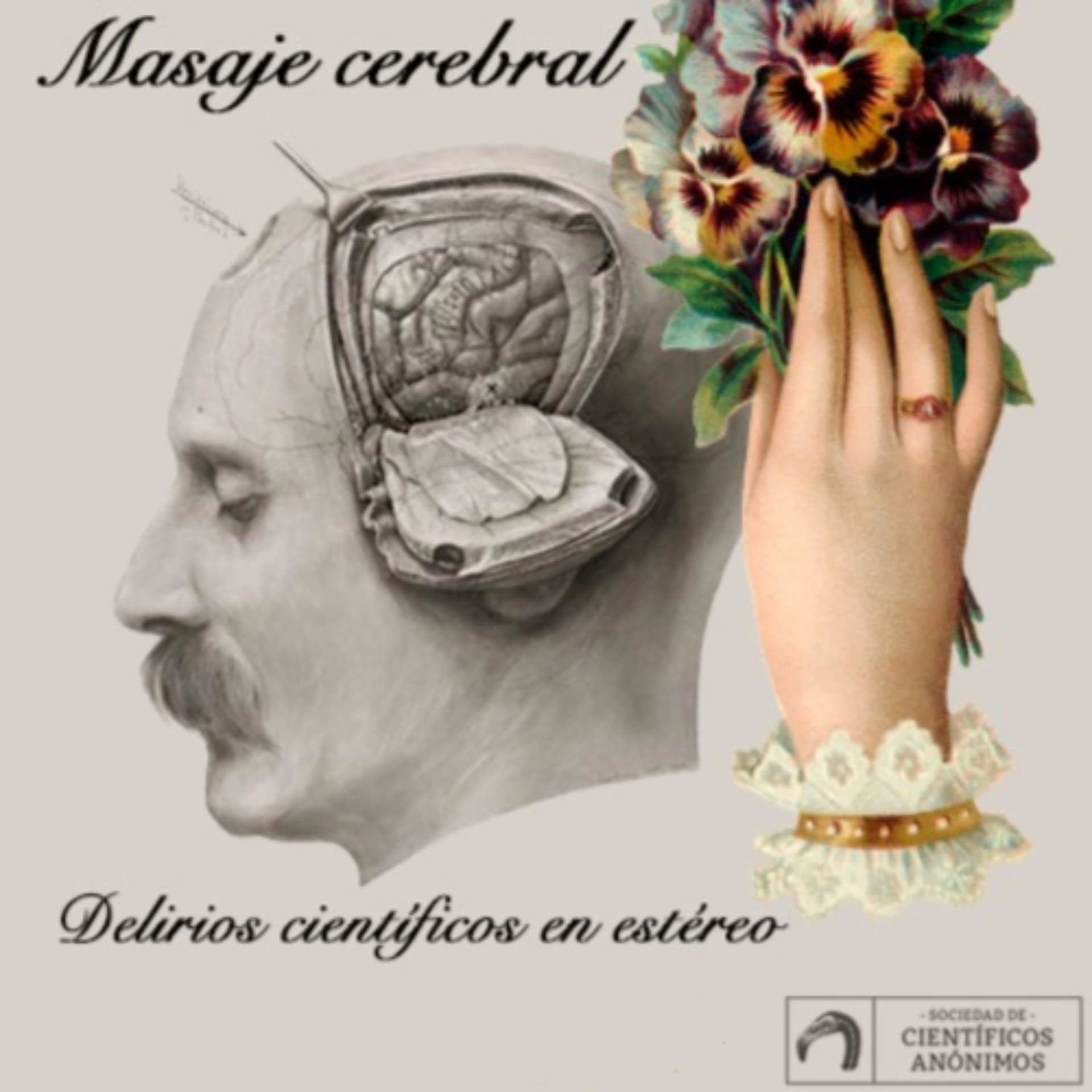 Masaje Cerebral - Podcasts