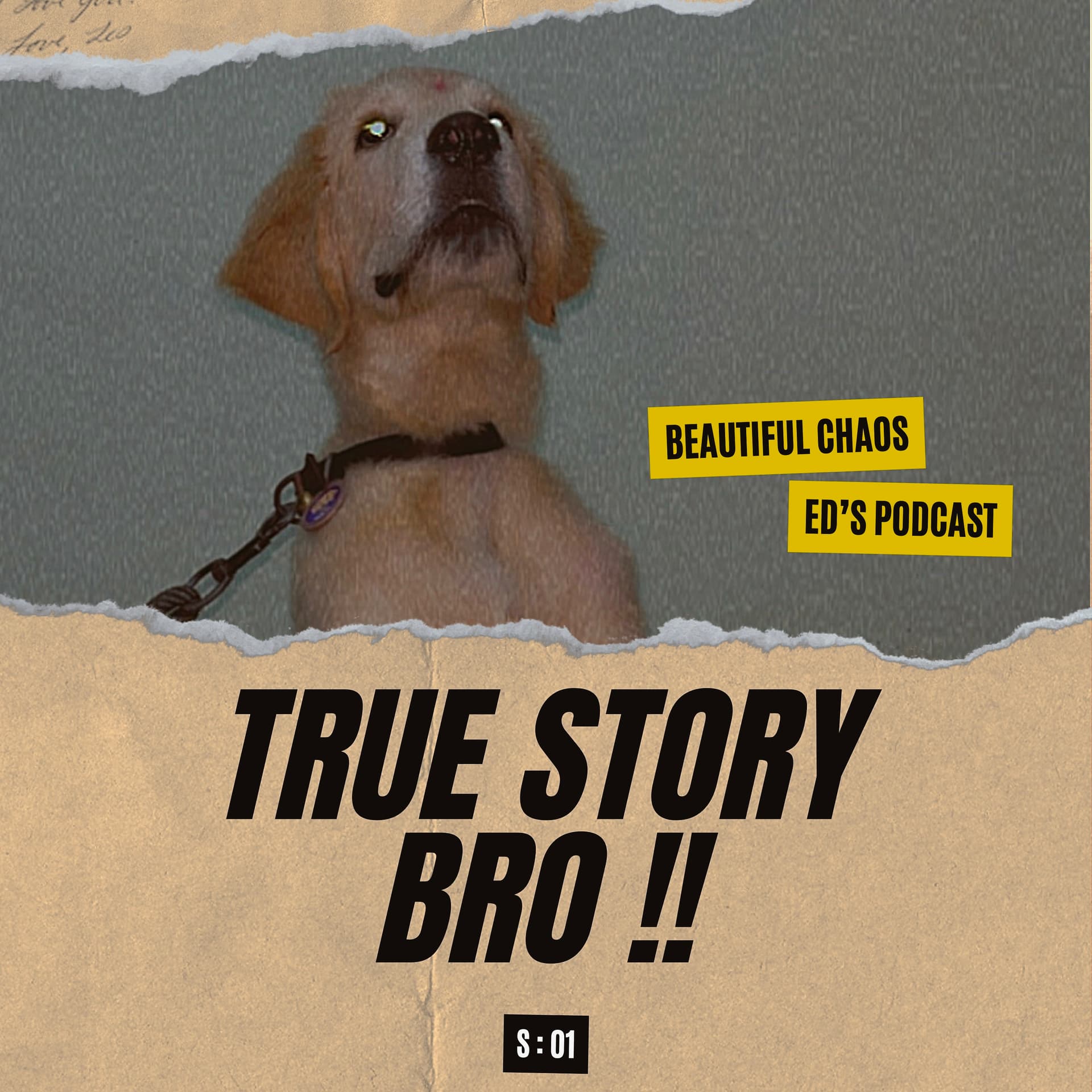 True Story Bro!! - ithu oru Ed Podcast ( Tanglish ) - Podcasts