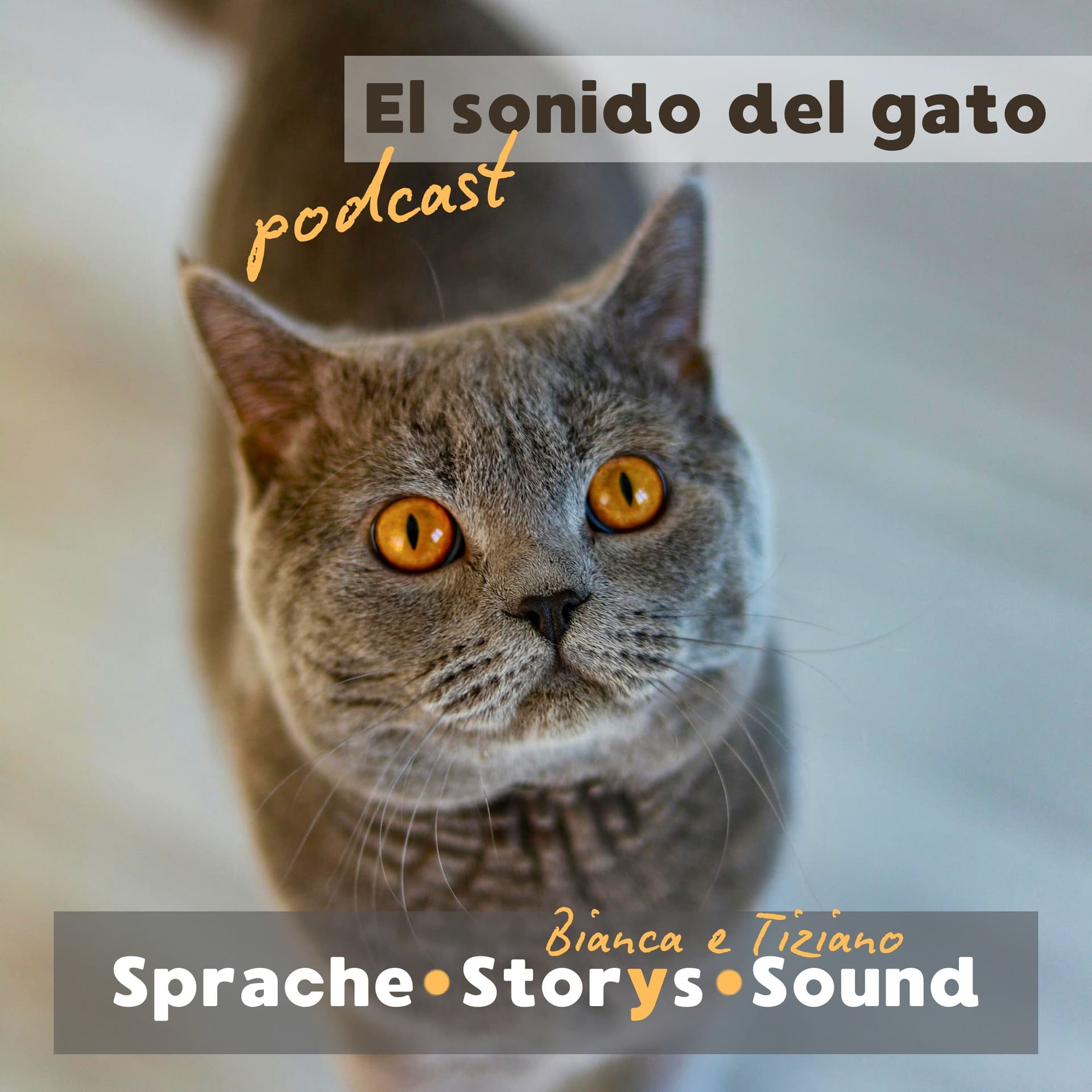 El sonido del gato | Sprache | Storys | Sound - Podcasts