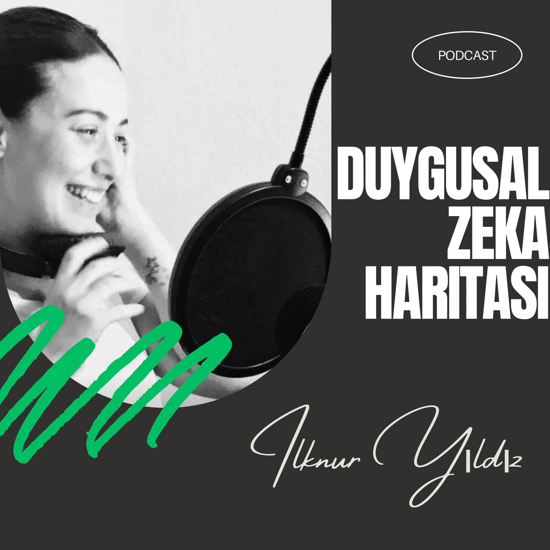 Duygusal Zeka Haritası - Podcasts