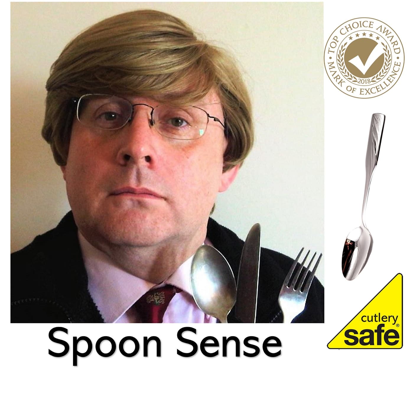 Accident Avoidance Training for Cutlery Users - Podcasts