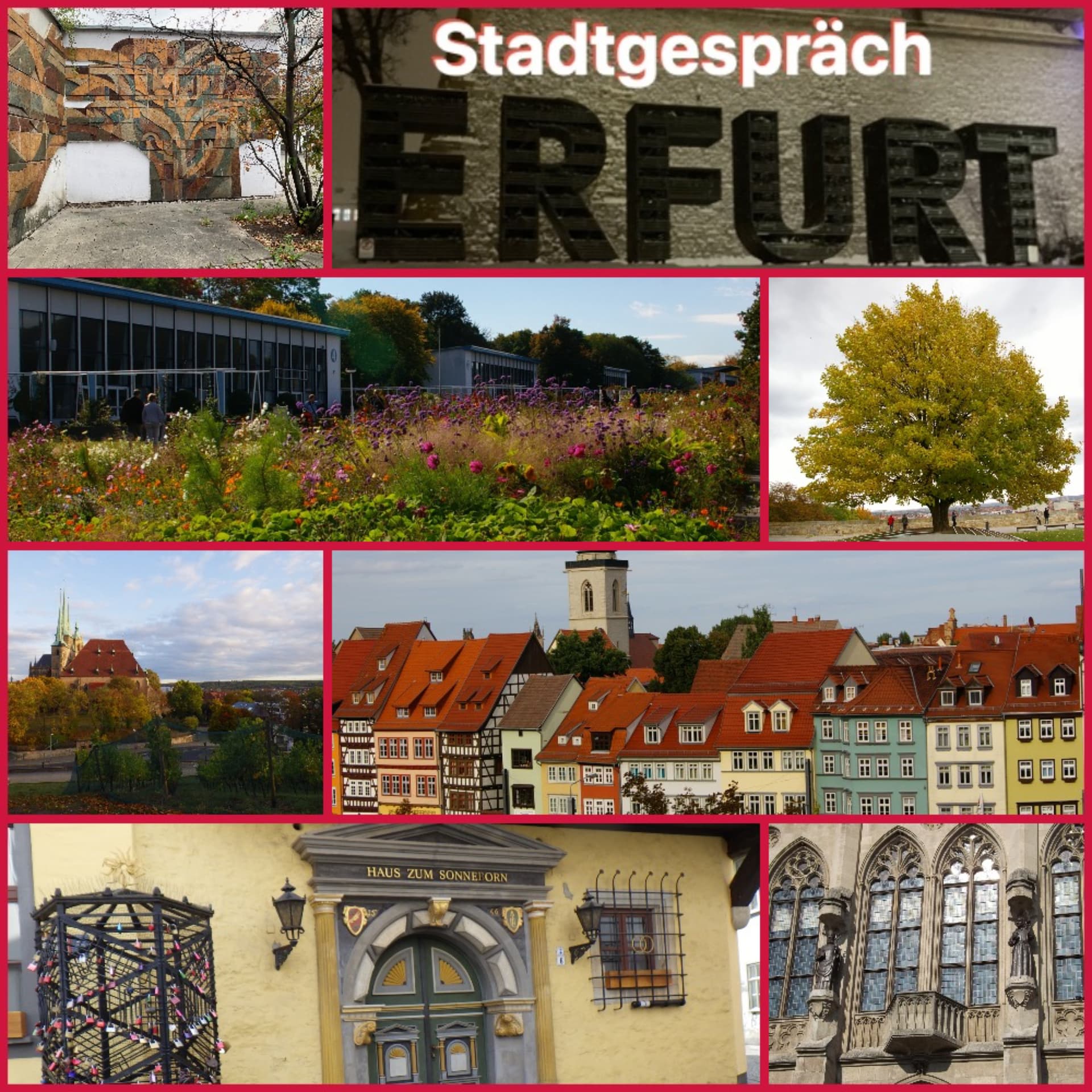 Erfurter Stadtgespräch - Podcasts