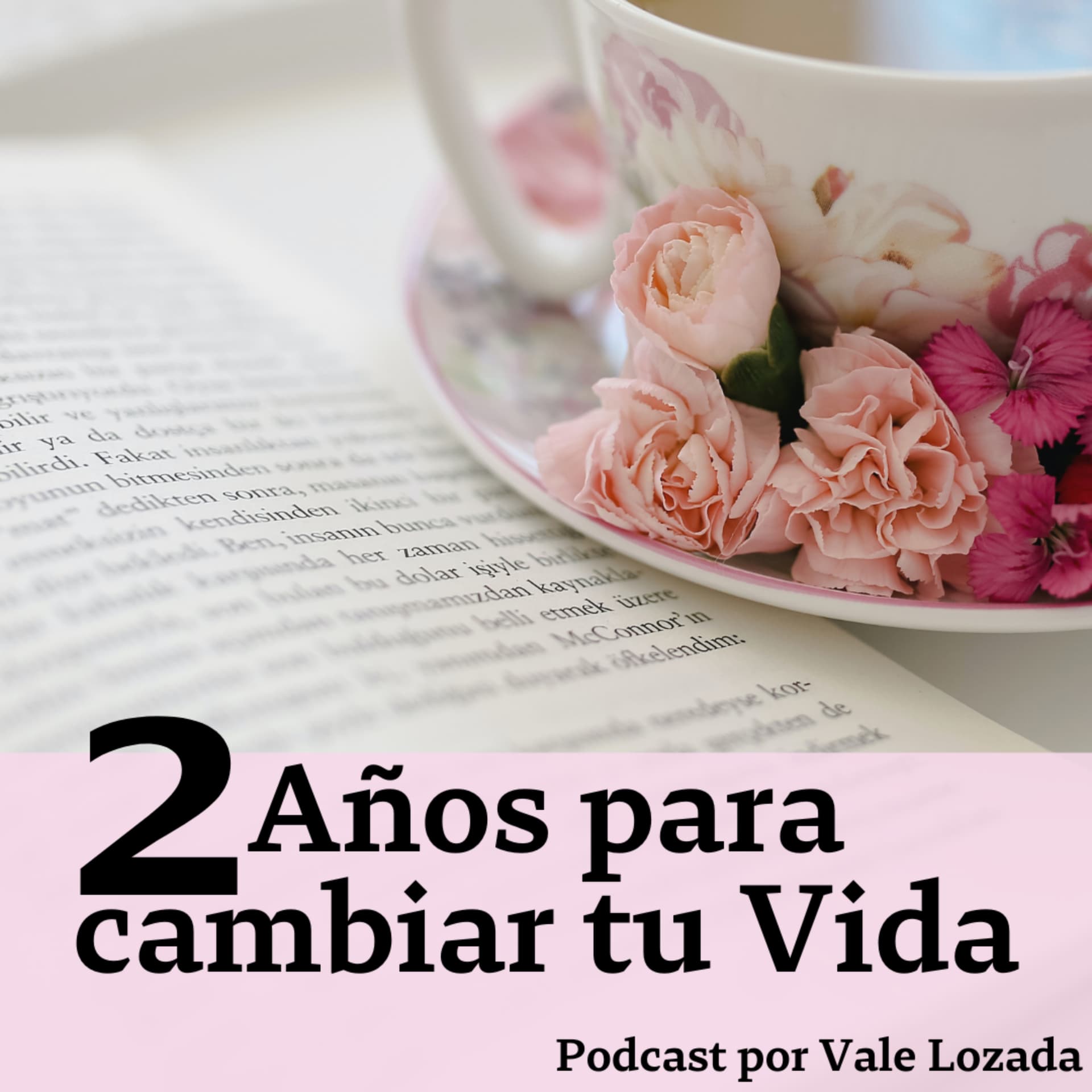 2 Años Para Cambiar Tu Vida - Podcasts