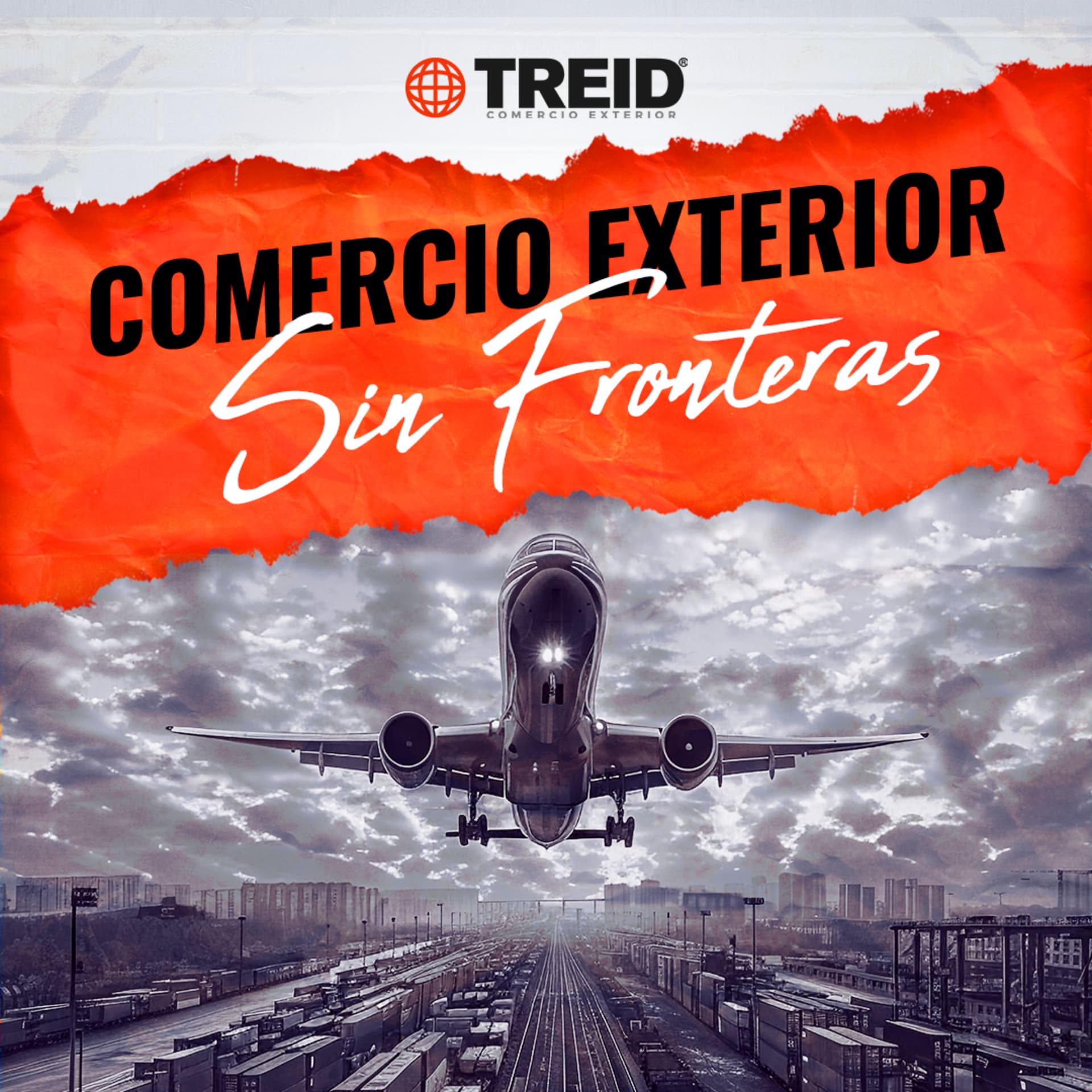 Treid Comercio Exterior