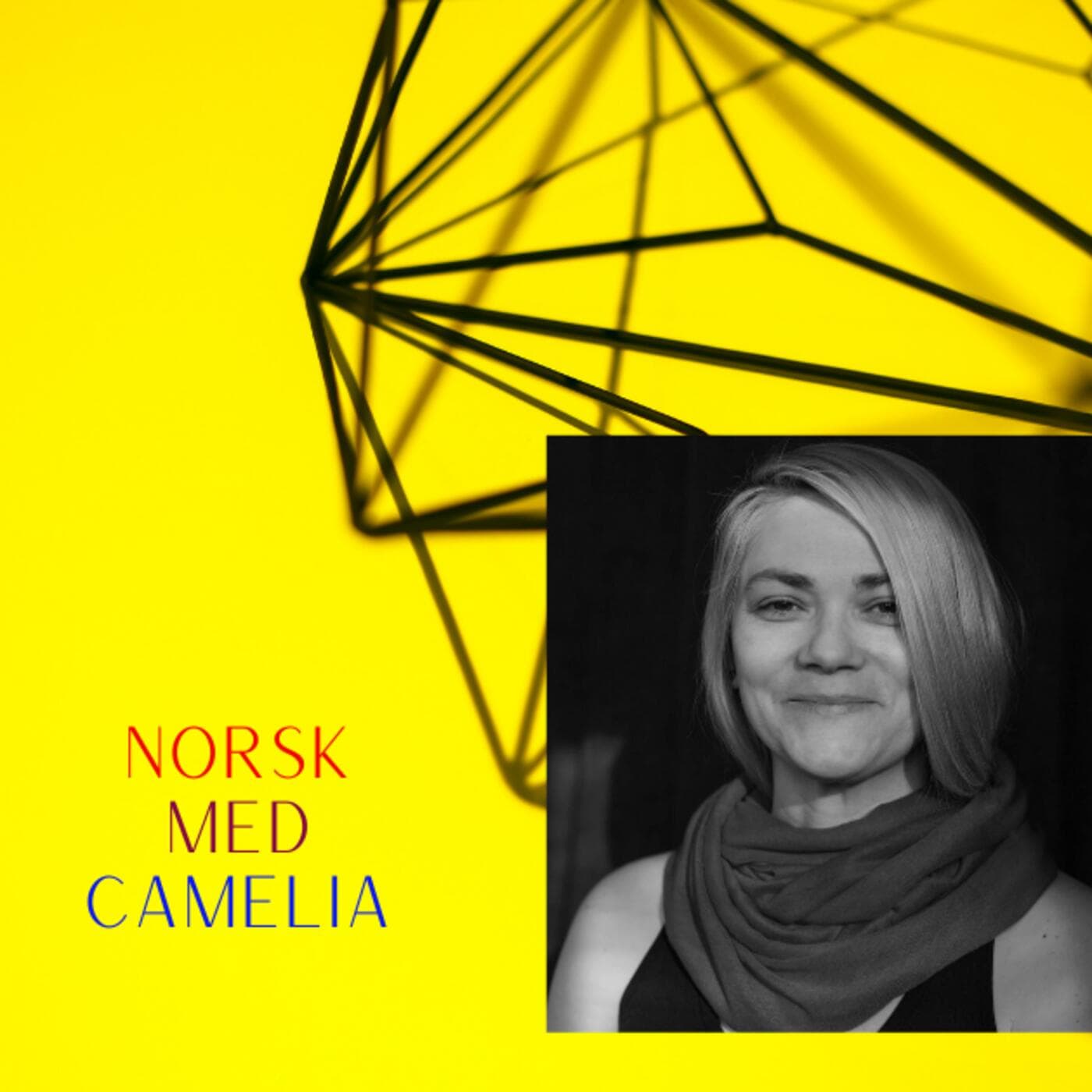 Learn Norwegian/Norsk med Camelia - Podcasts
