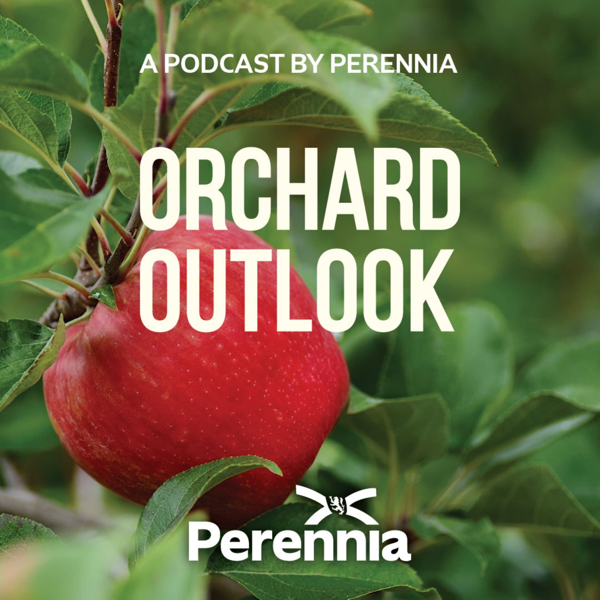 Orchard Outlook - Podcasts
