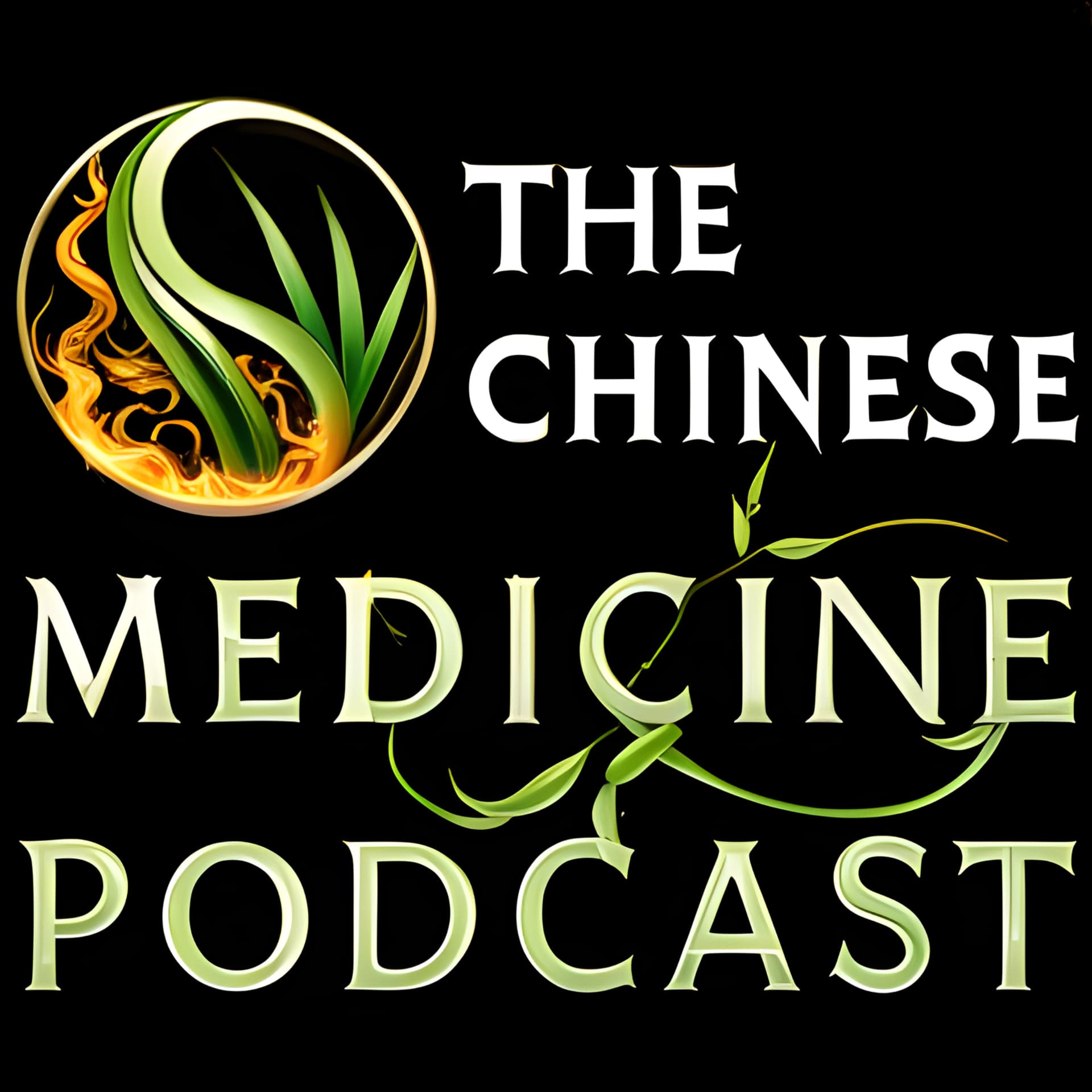 Chinese Medicine Podcast - Podcasts