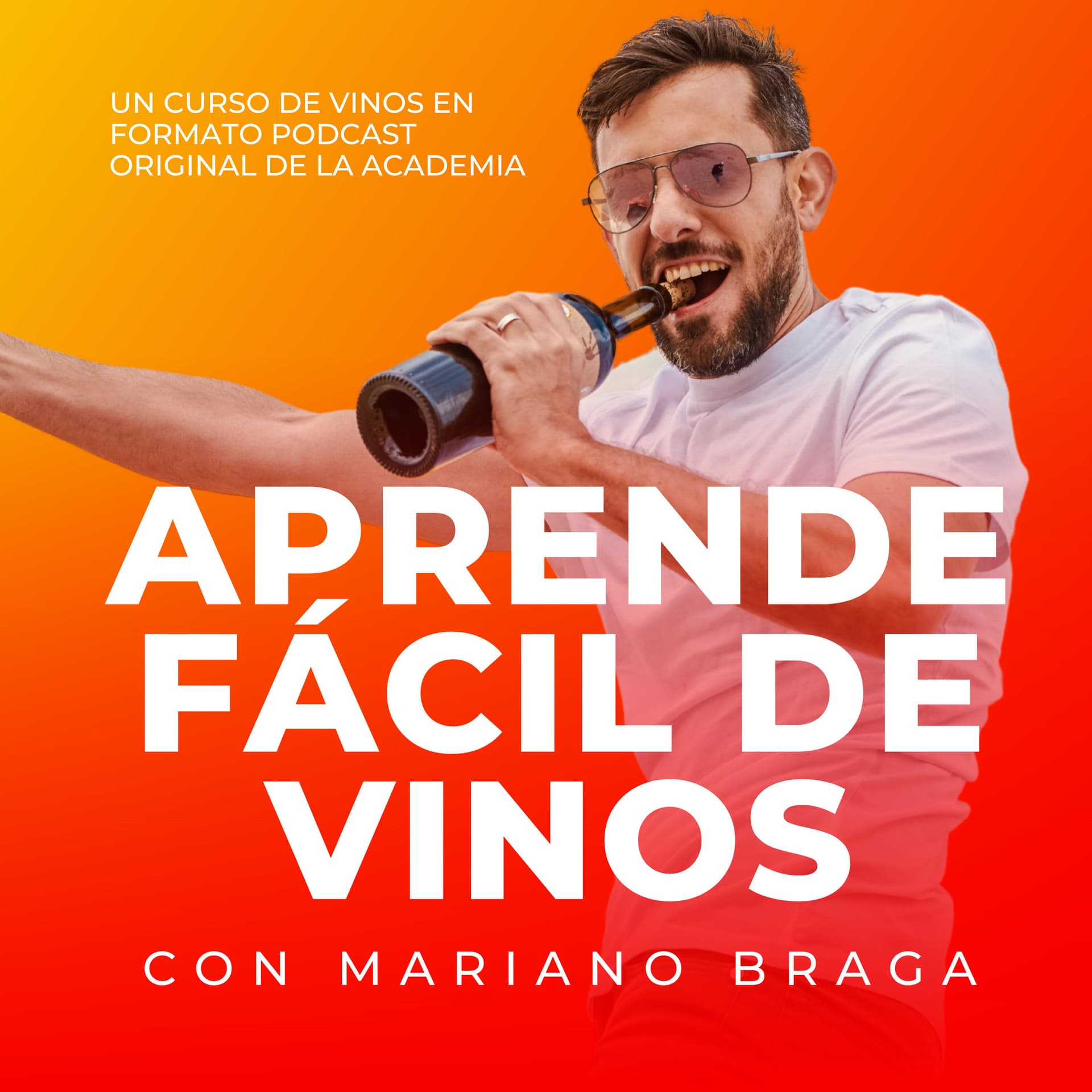 Aprende fácil de vinos - Podcasts