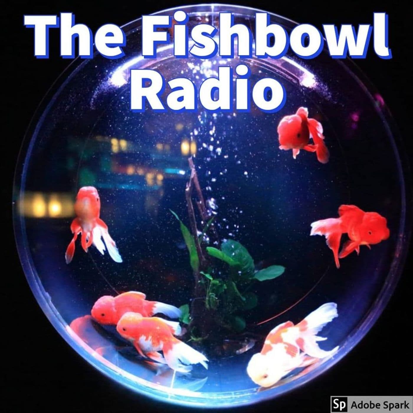 The Fishbowl Sports Radio - Podcasts