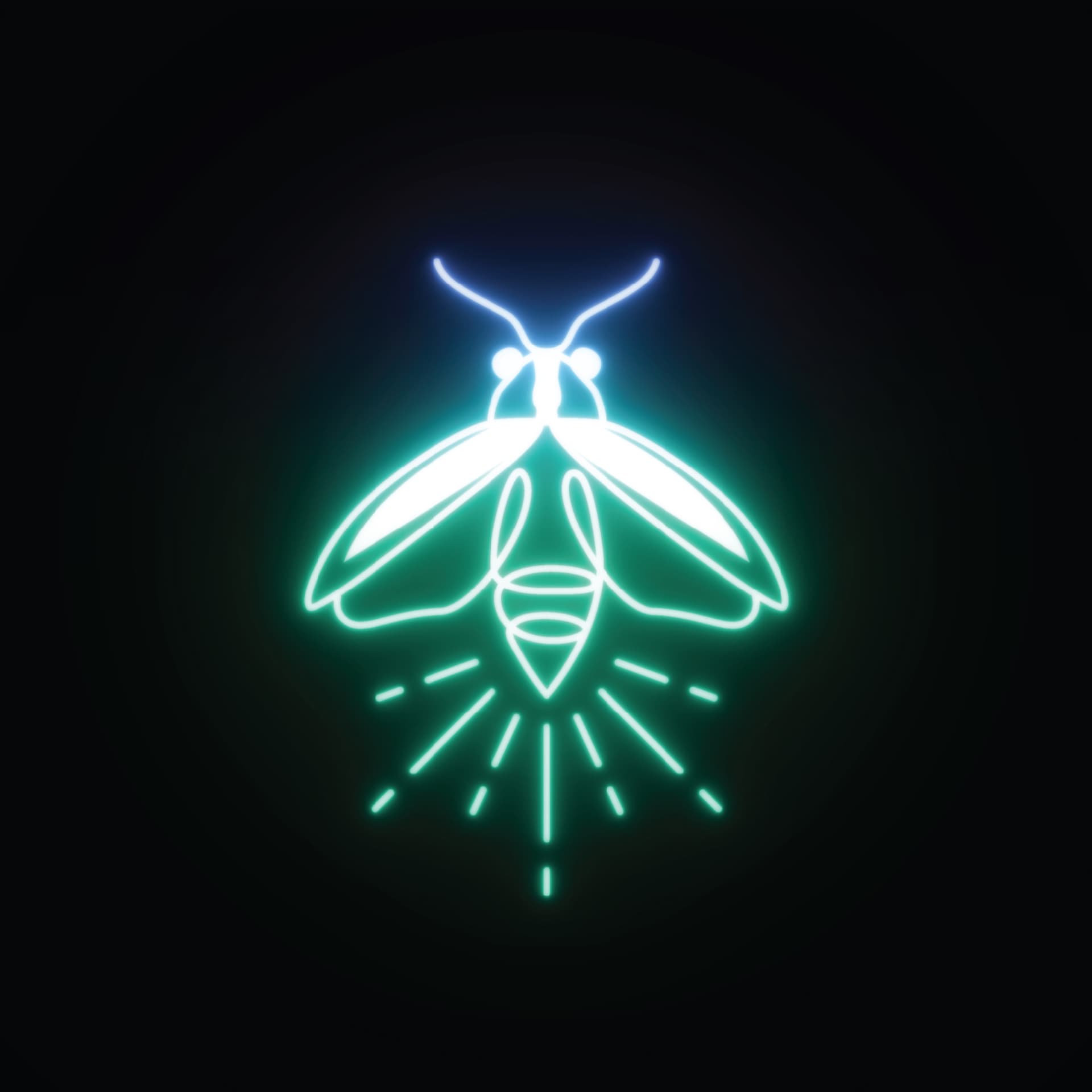 Les Lucioles - Podcasts