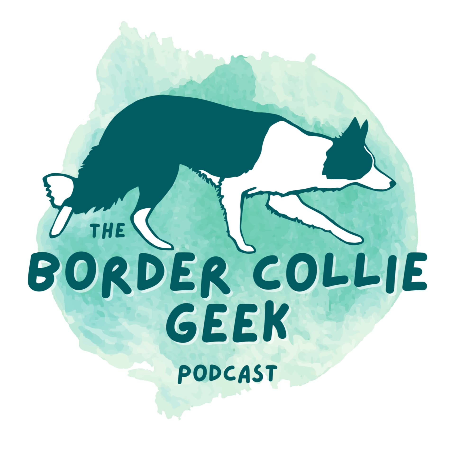 The Border Collie Geek Podcast - Podcasts