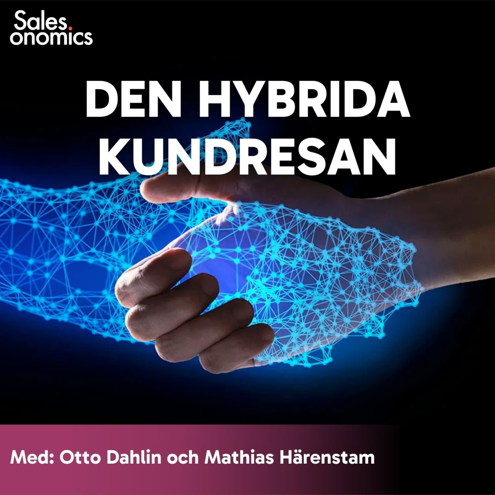 Den hybrida kundresan - Podcasts