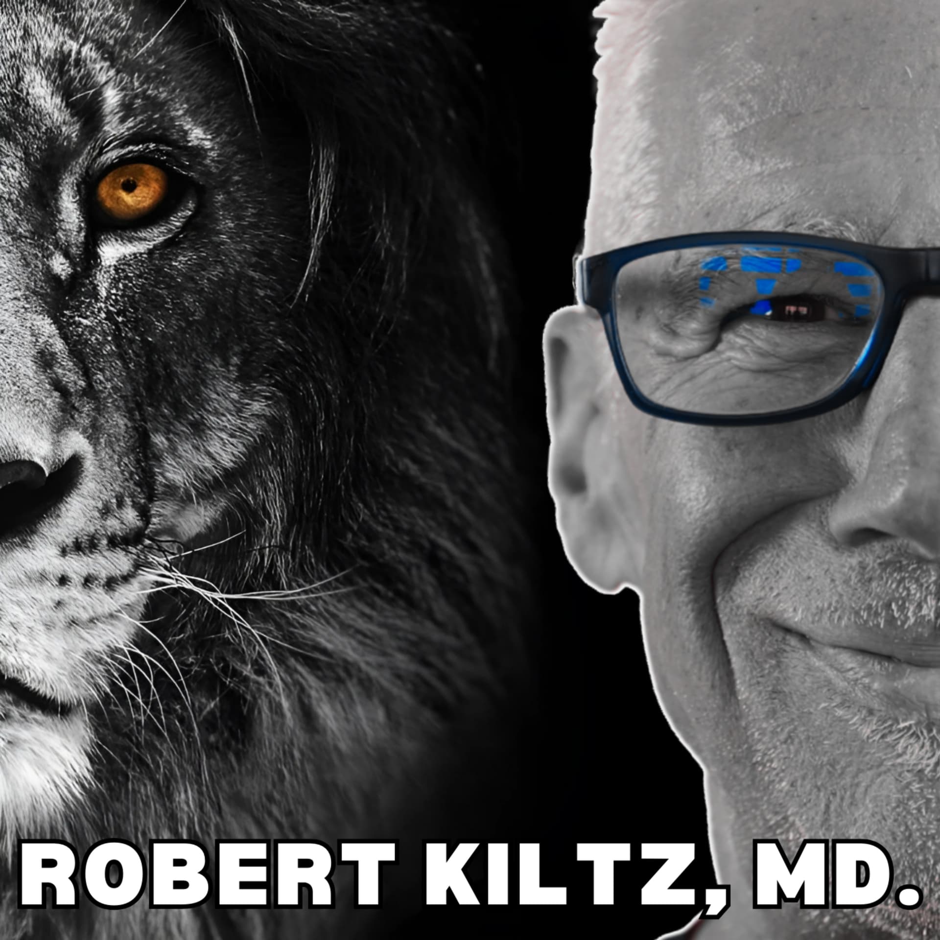 Keto/Carnivore Conversations - Podcasts