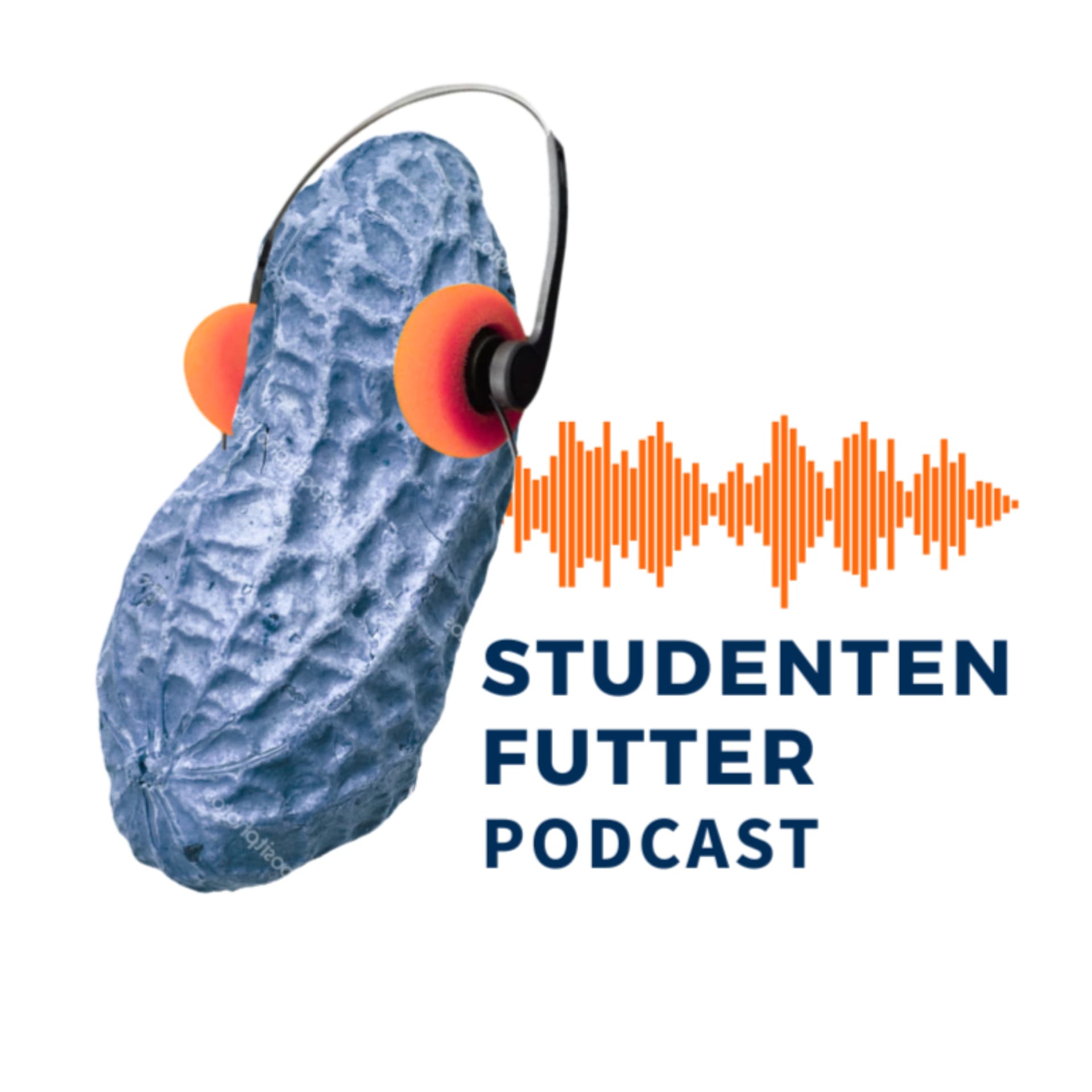 STUDENTENFUTTER - Podcasts
