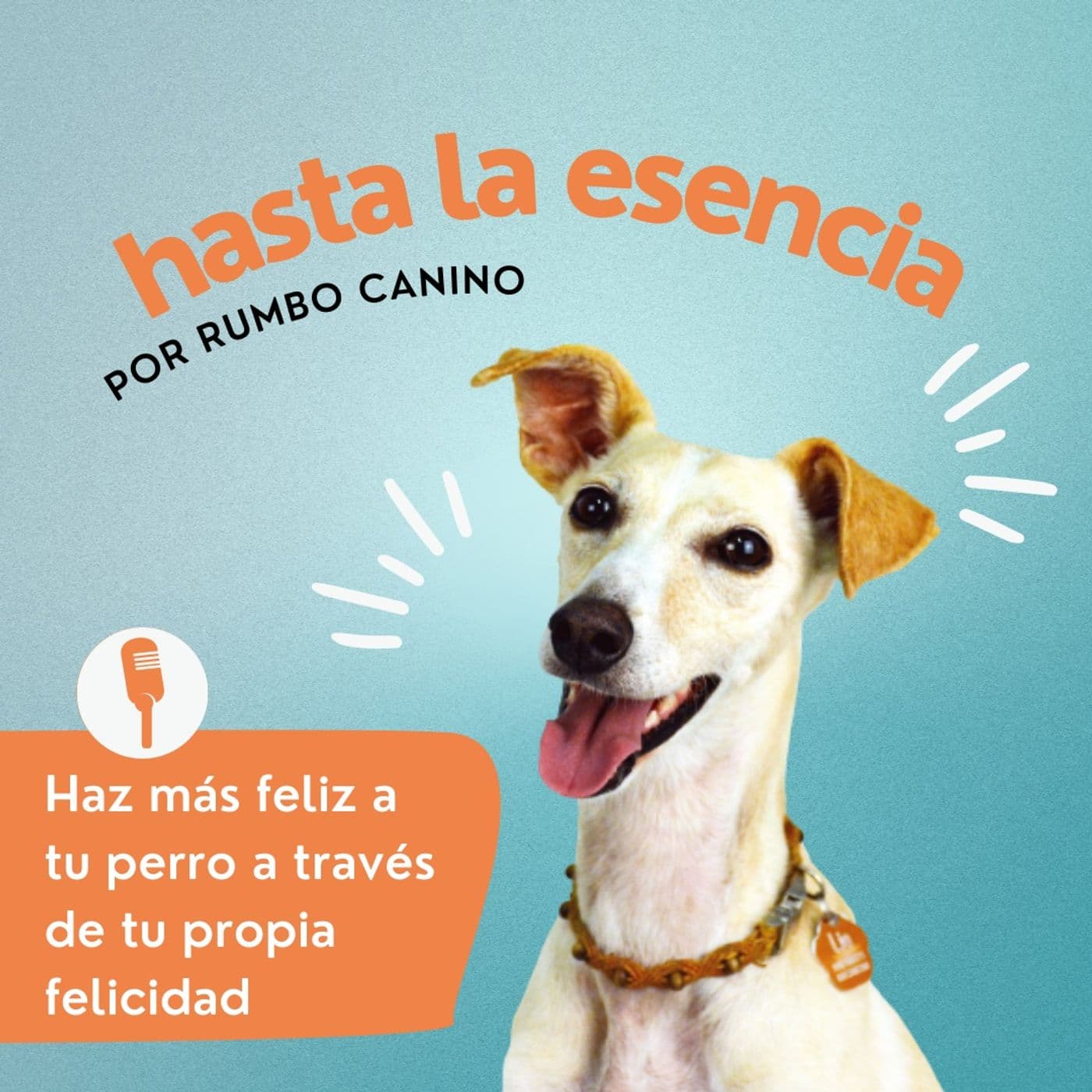 Hasta la Esencia. Por Rumbo Canino - Podcasts