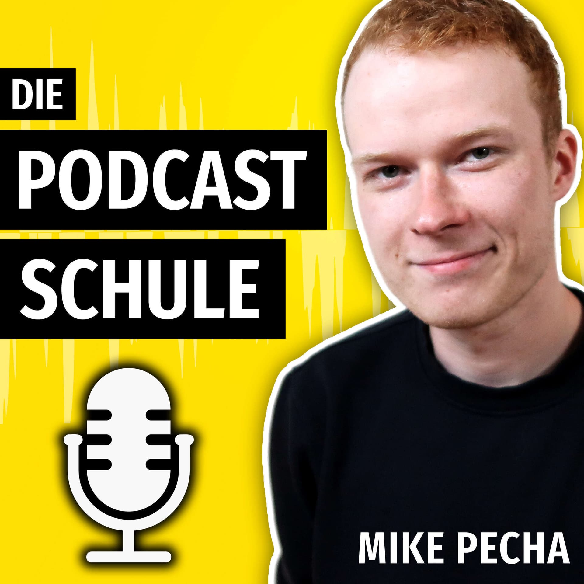 Die Podcast Schule - Podcasts