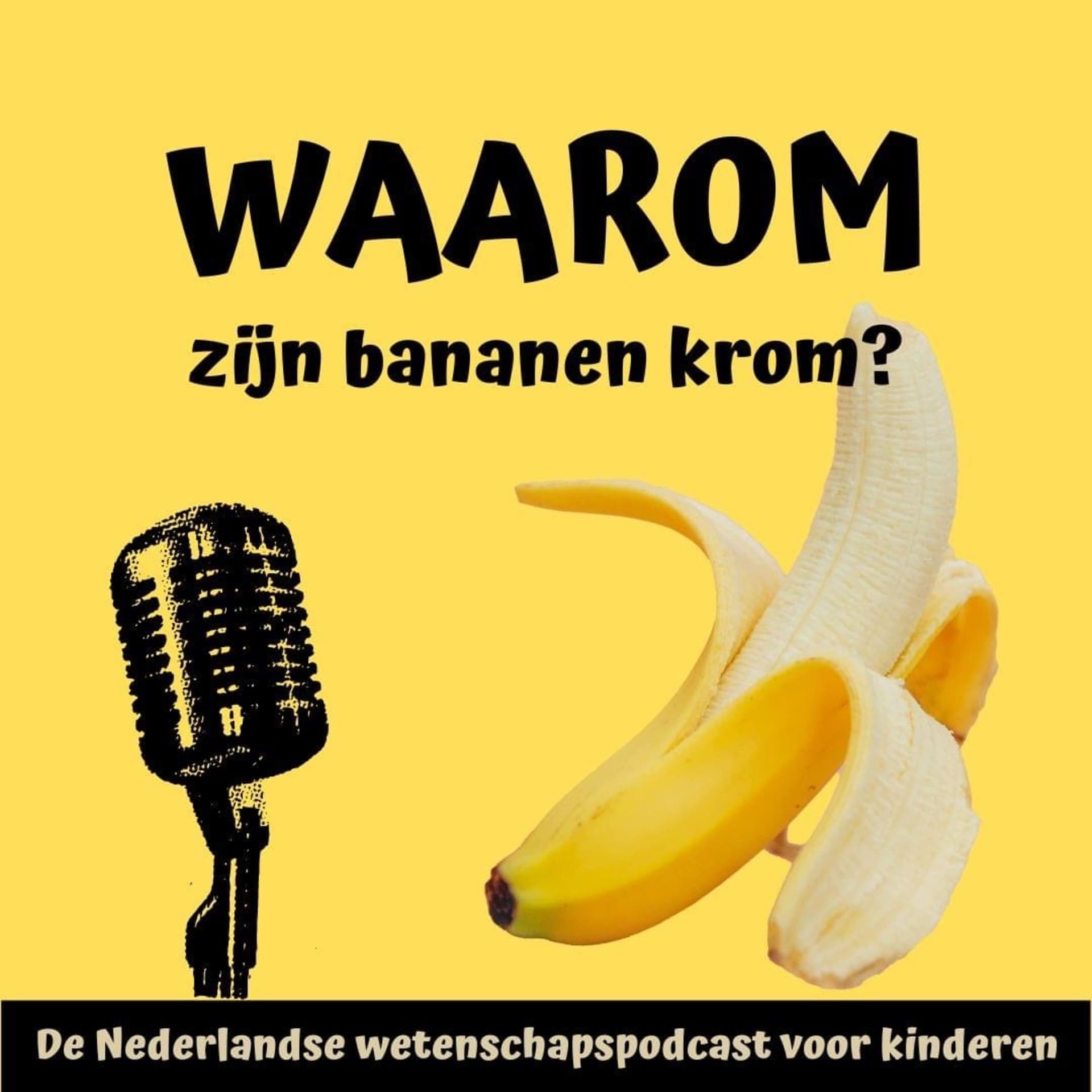 Waarom zijn bananen krom? - Podcasts