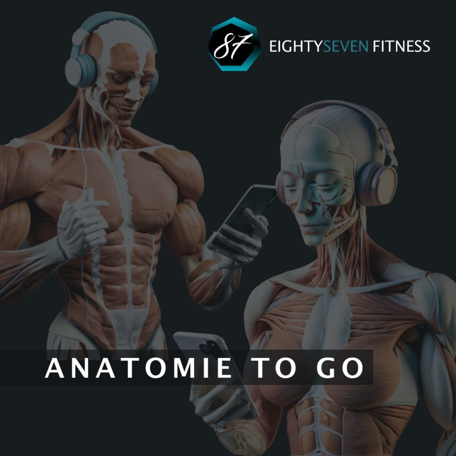 Anatomie to go - Podcasts