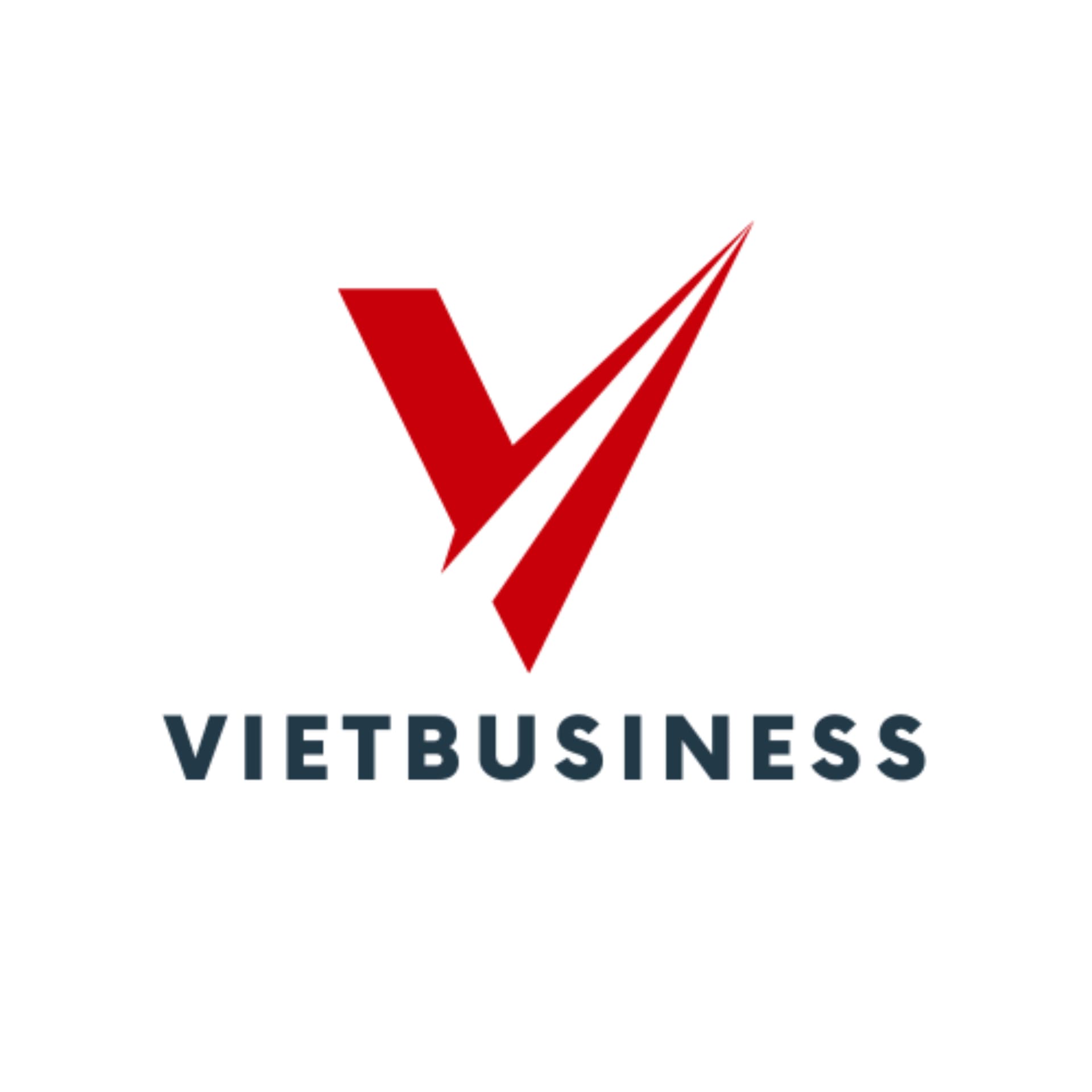 VIETBUSINESS - Podcasts