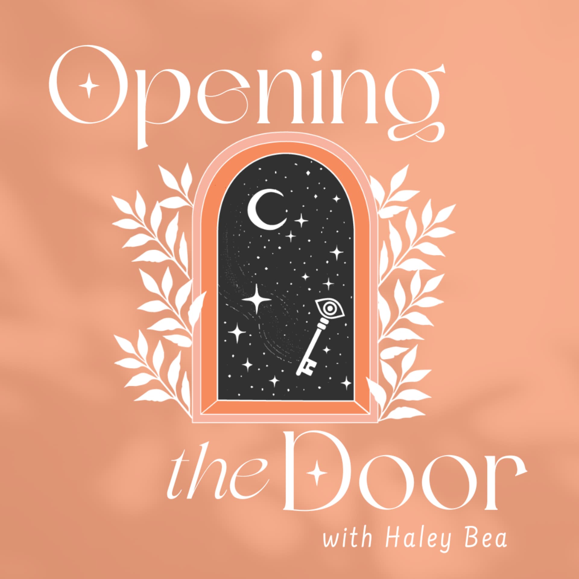 Opening The Door - Podcasts