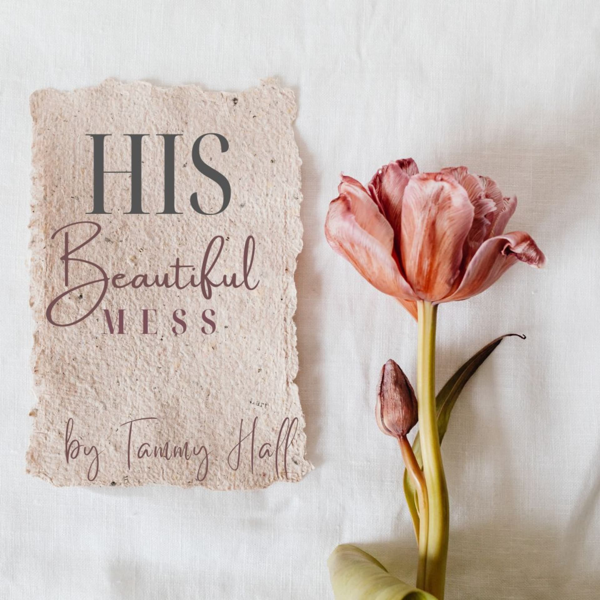 His Beautiful Mess - Podcasts