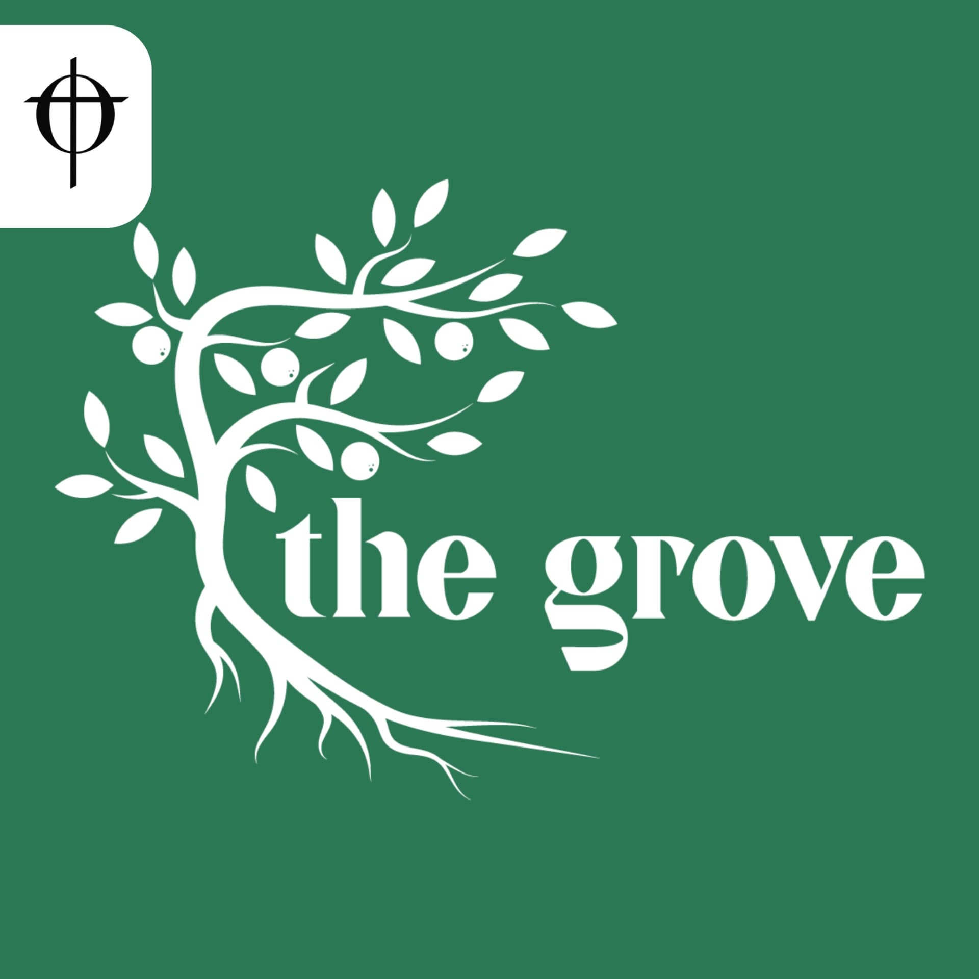 Grove Sermons (UTD FOCUS) - Podcasts