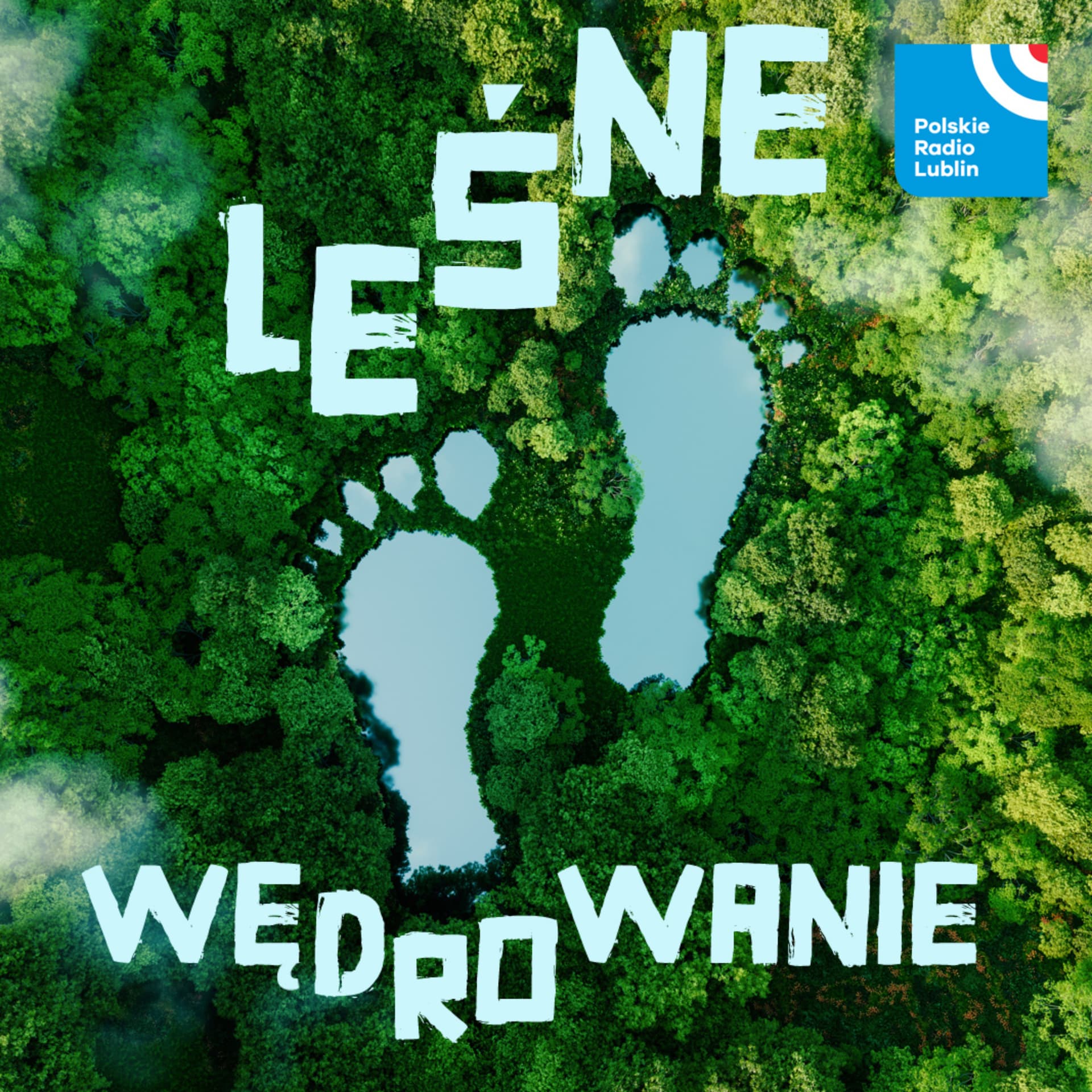 Leśne wędrowanie w Radiu Lublin - Podcasts
