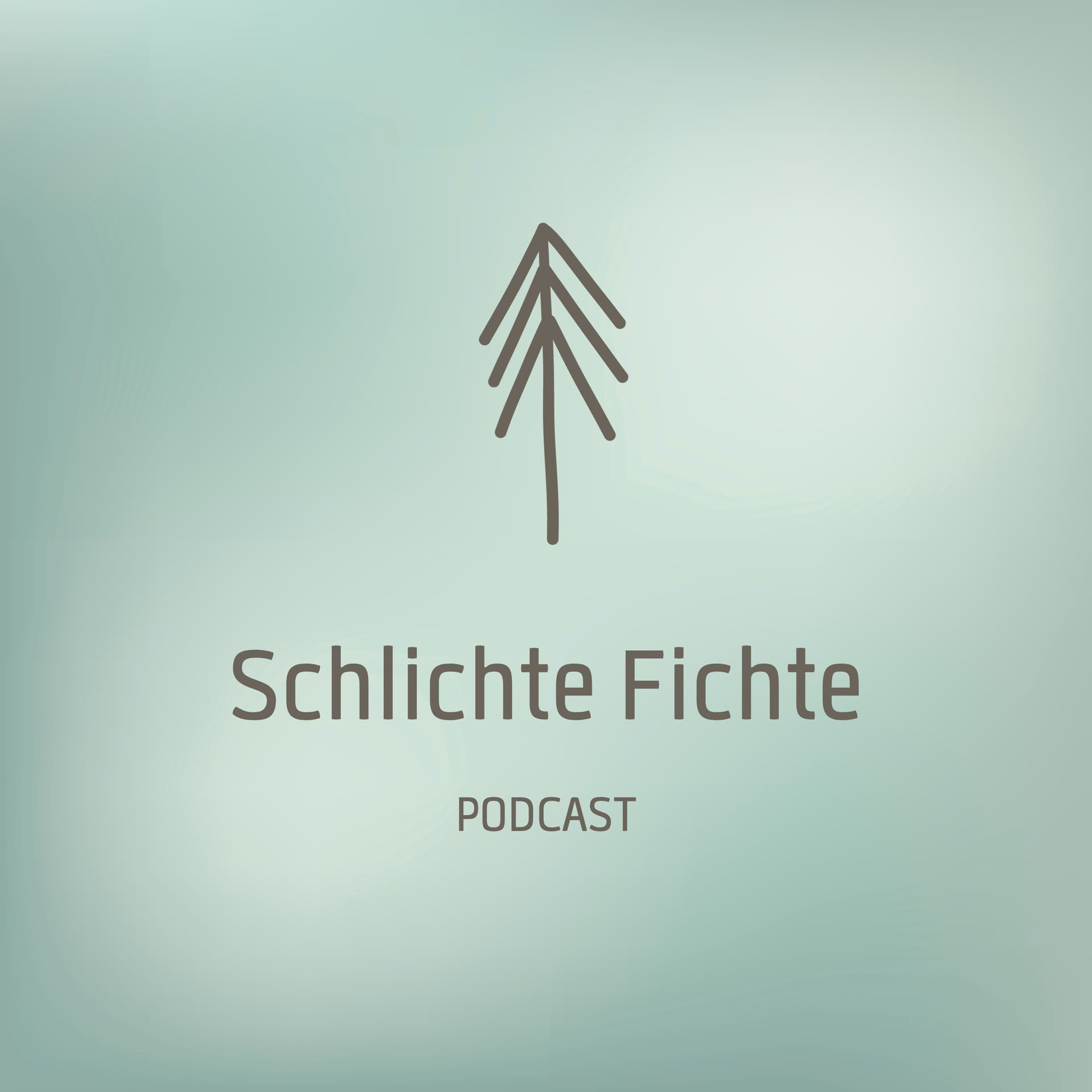 Schlichte Fichte - Business, Netzwerk, Marketing - Podcasts