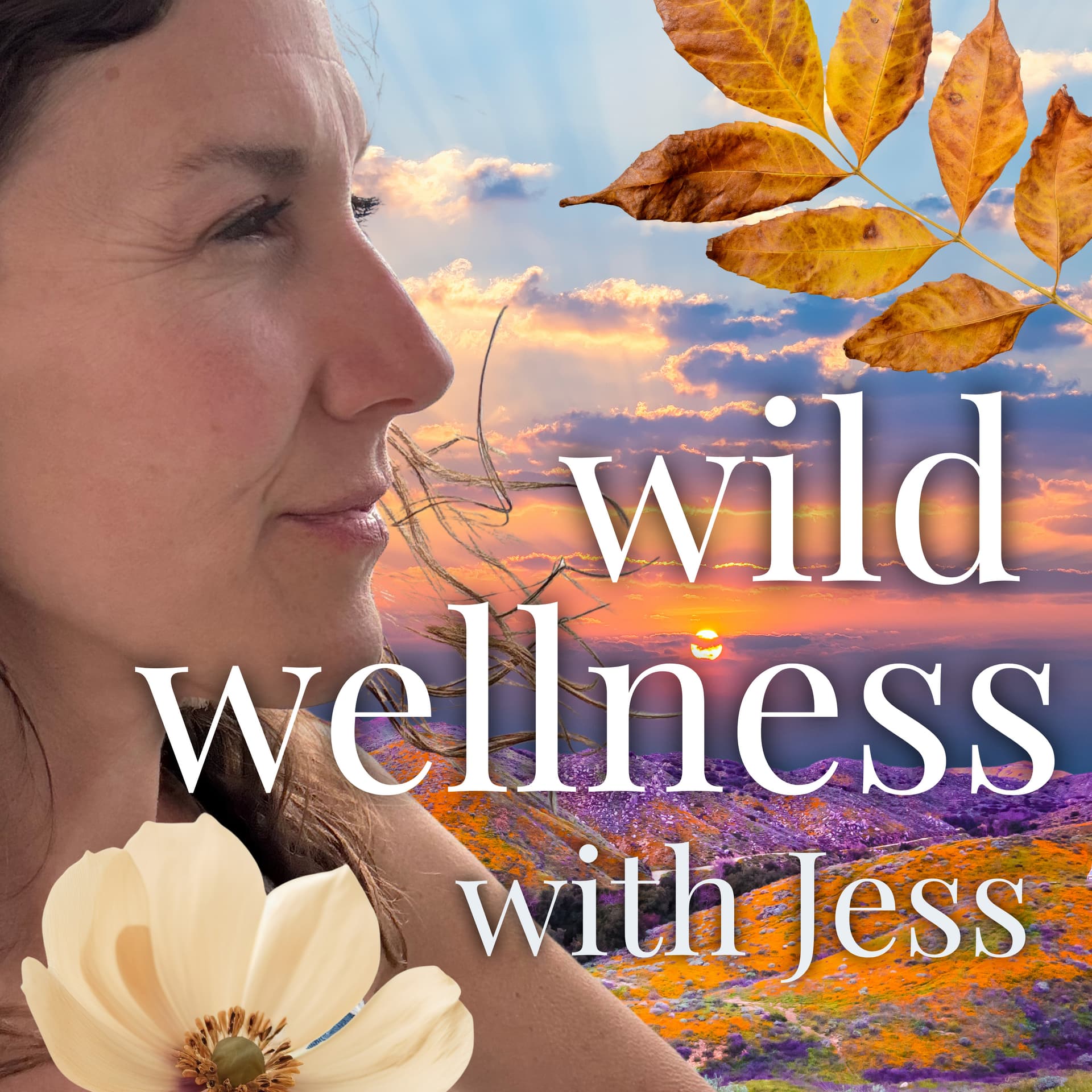Wild Wellness with Jess - Podcasts