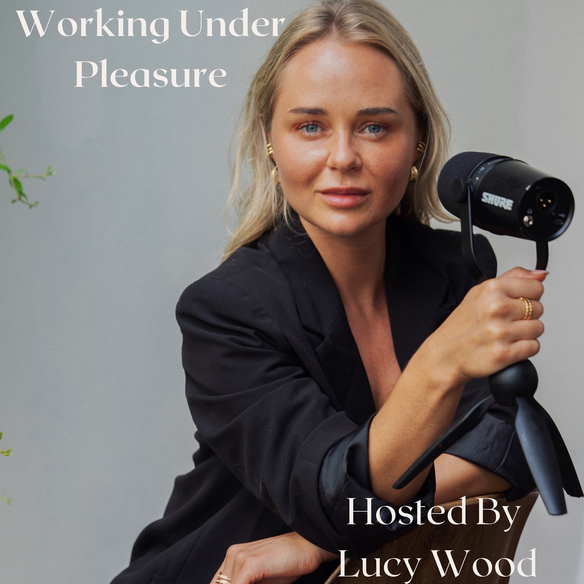 Working Under Pleasure - Podcasts