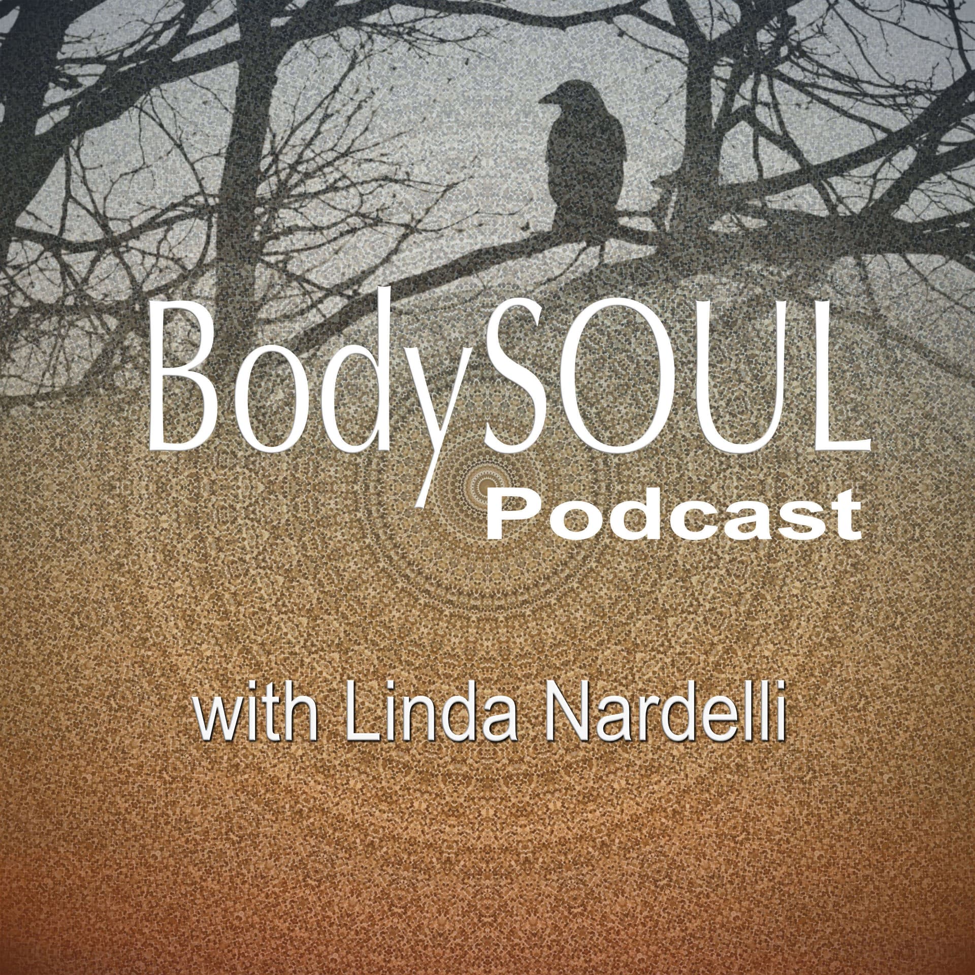The BodySOUL podcast - Podcasts