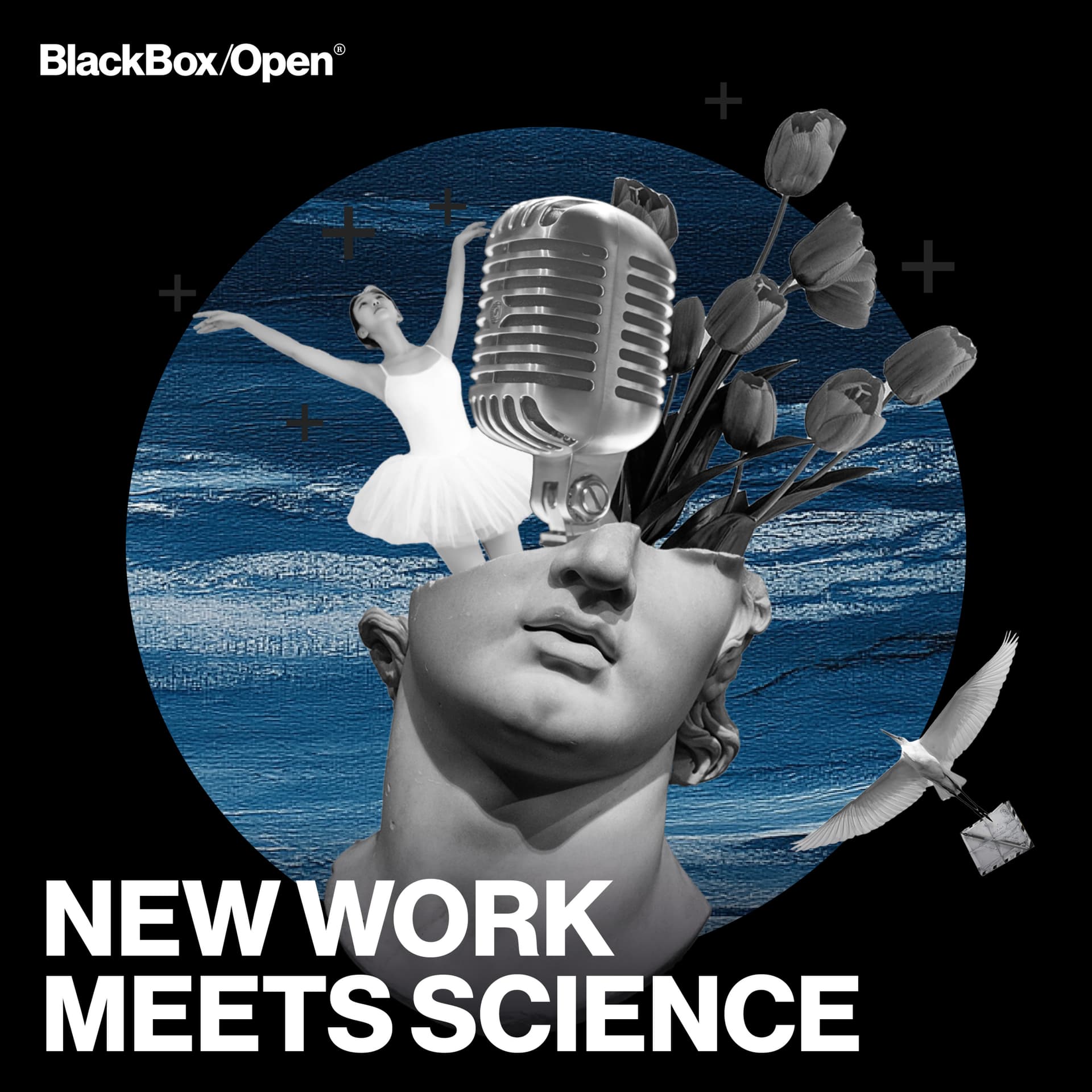 New Work Meets Science – Arbeitspsychologie, Organisationsentwicklung, Führung - Podcasts
