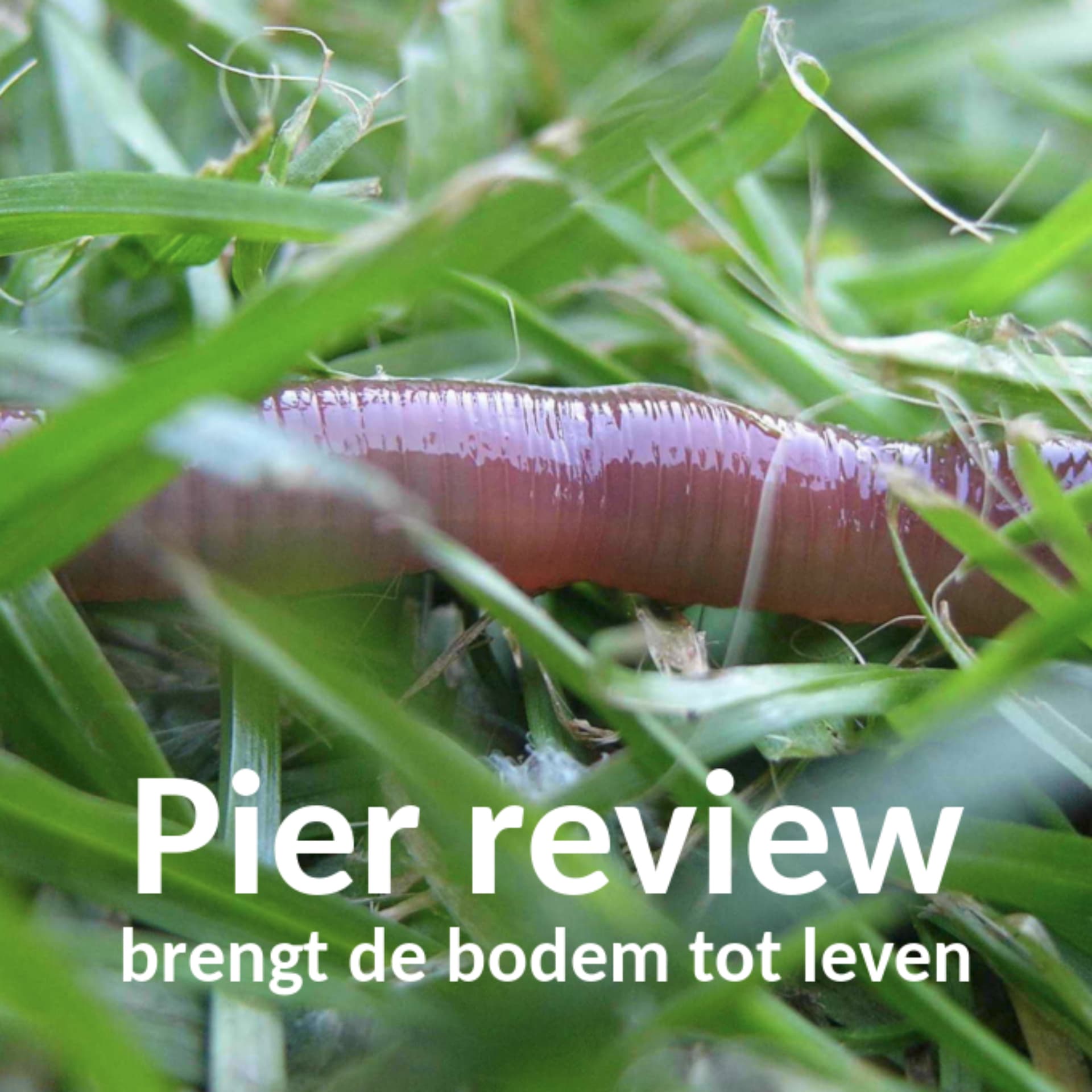Pier review - brengt de bodem tot leven - Podcasts