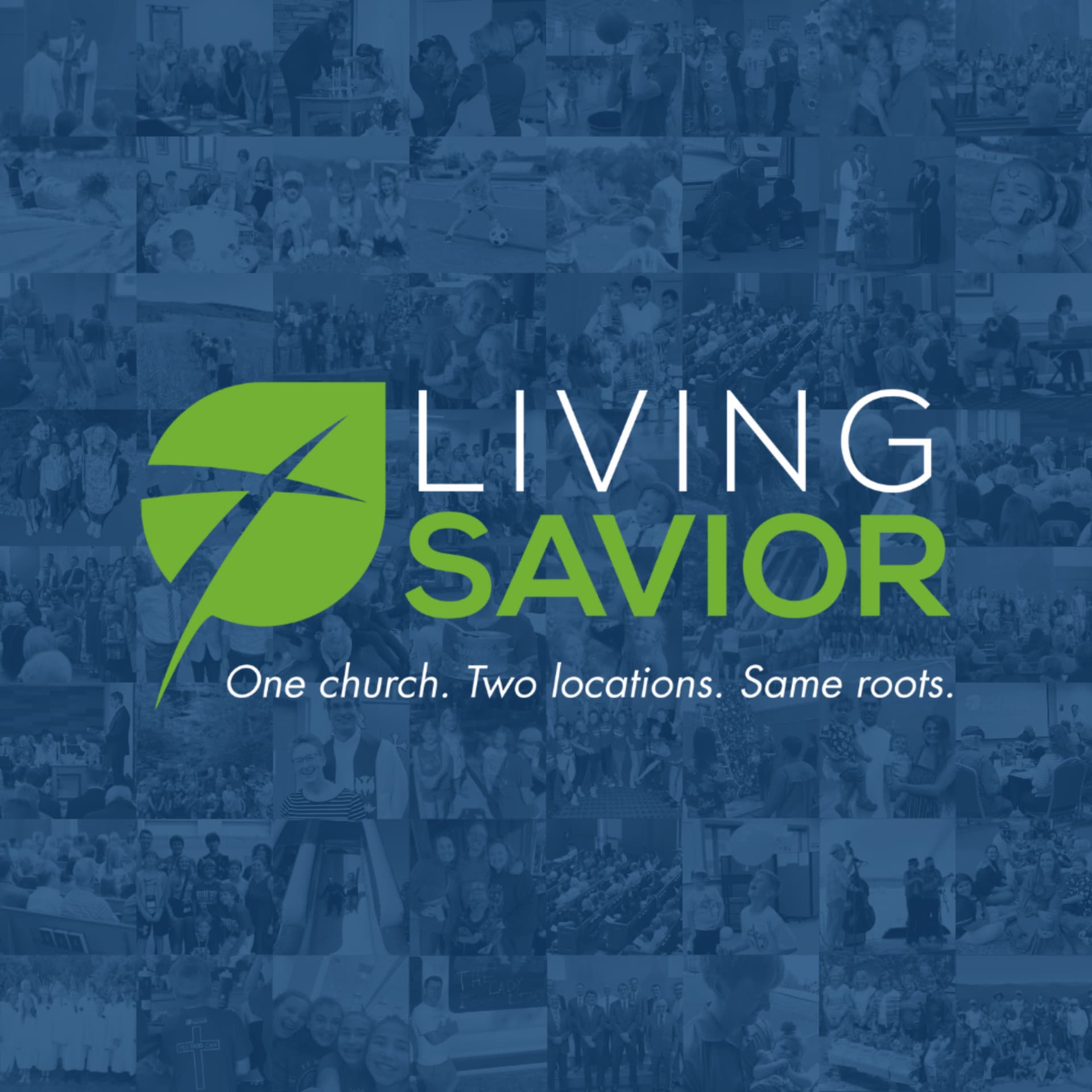 Living Savior Podcast - Podcasts