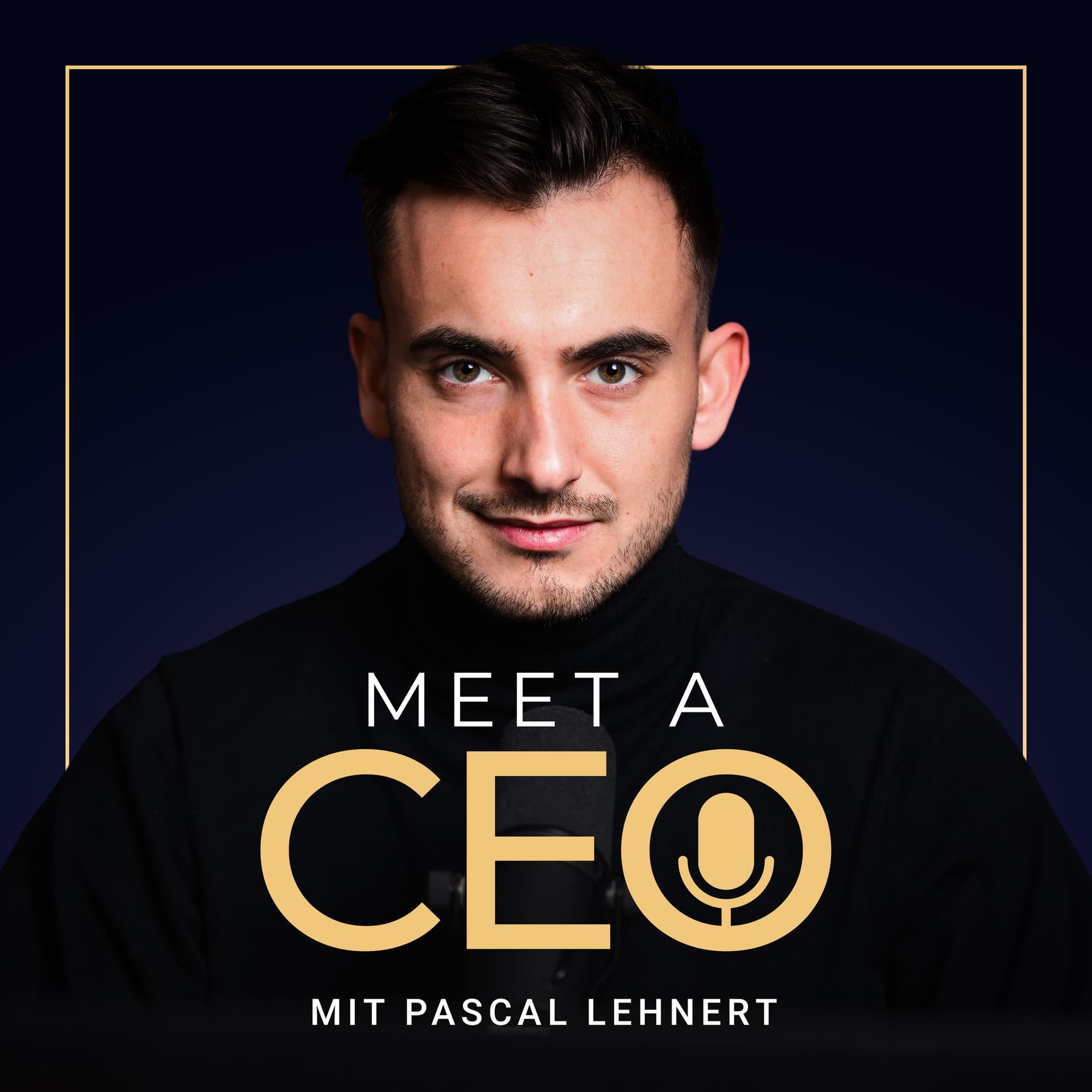 Meet a CEO - Podcasts