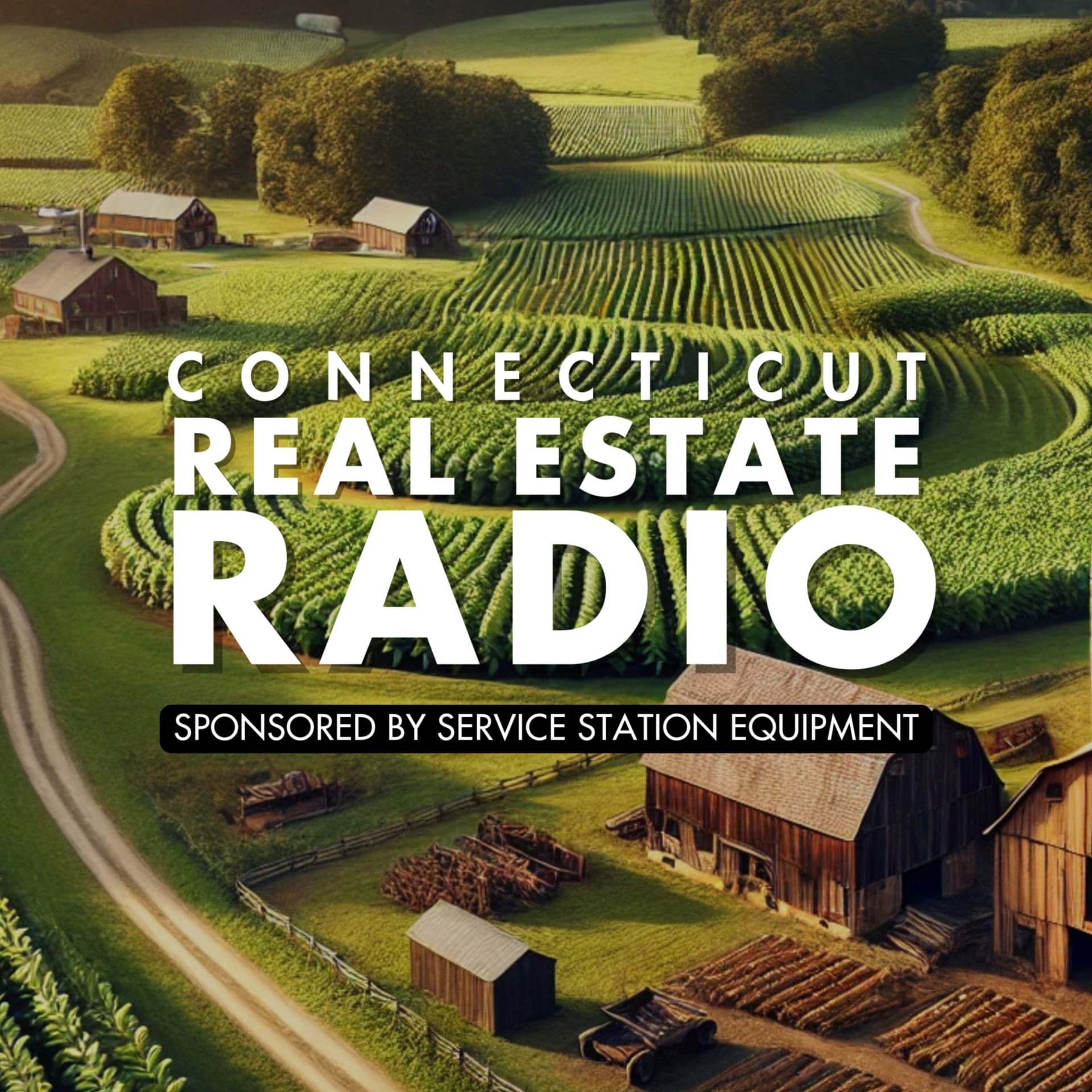 CT Real Estate Radio - Podcasts
