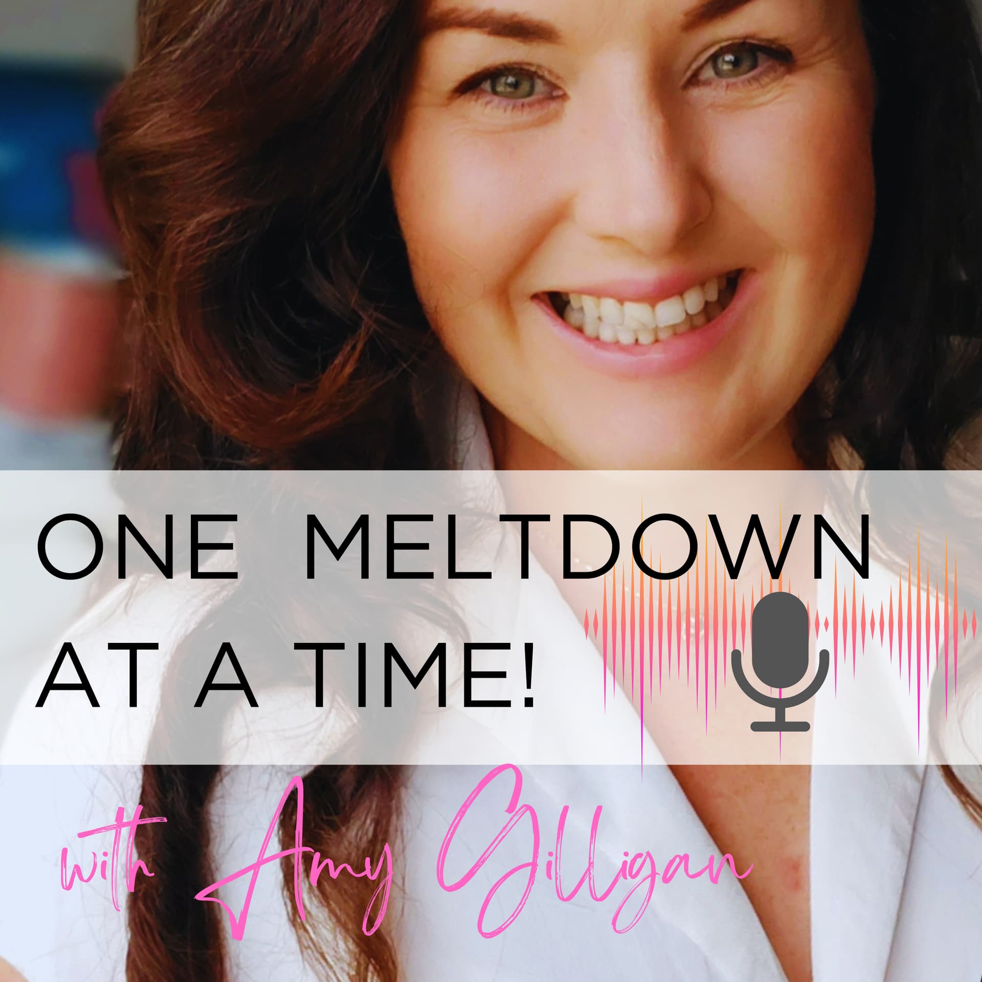 One Meltdown at a Time - Podcasts