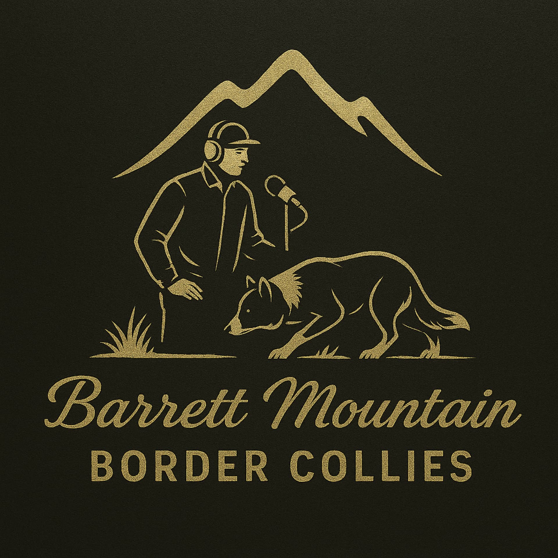 Stock Dog Philosophies Podcast - Barrett Mountain BC - Podcasts