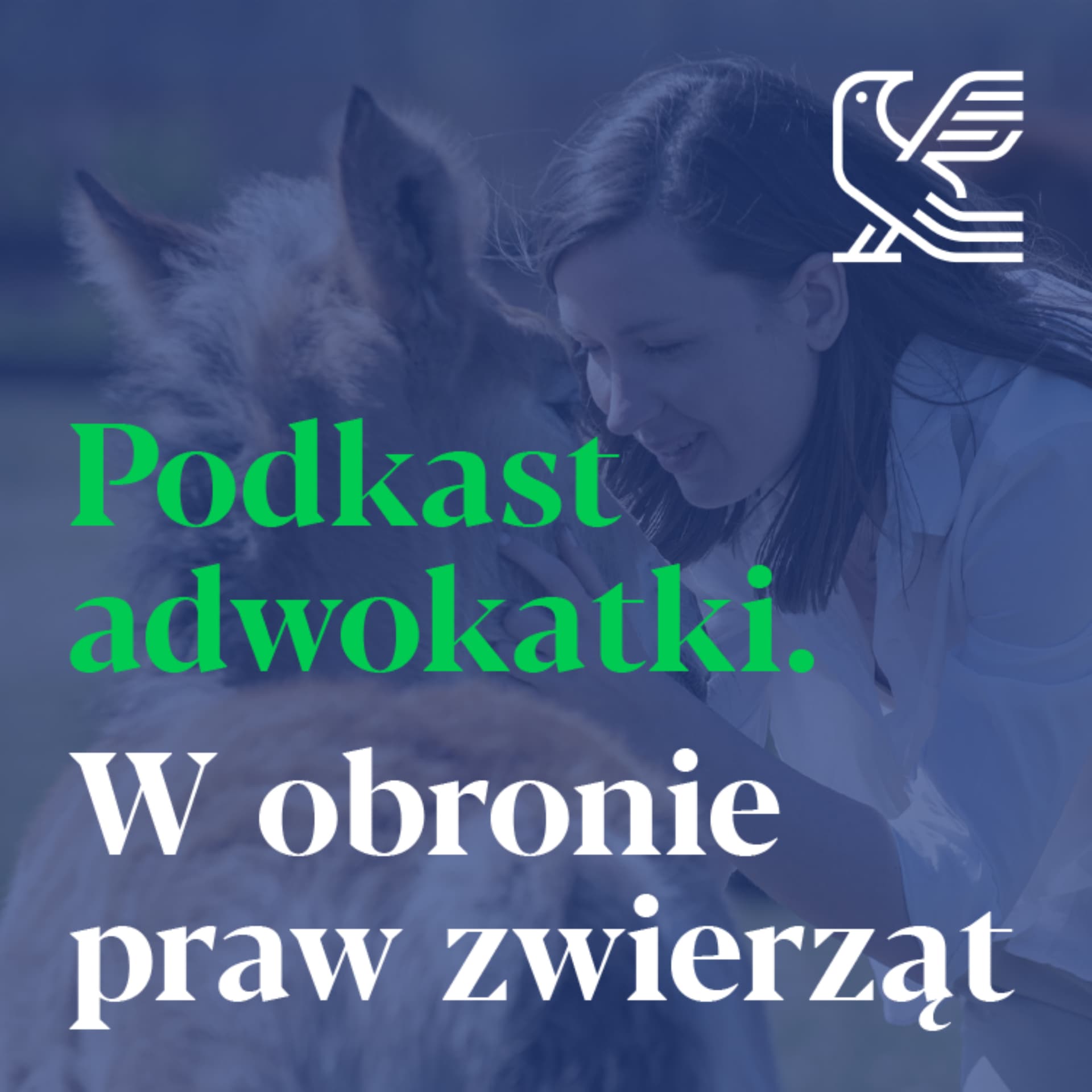 Kuszlewicz 'w imieniu'. Podkast adwokatki. - Podcasts