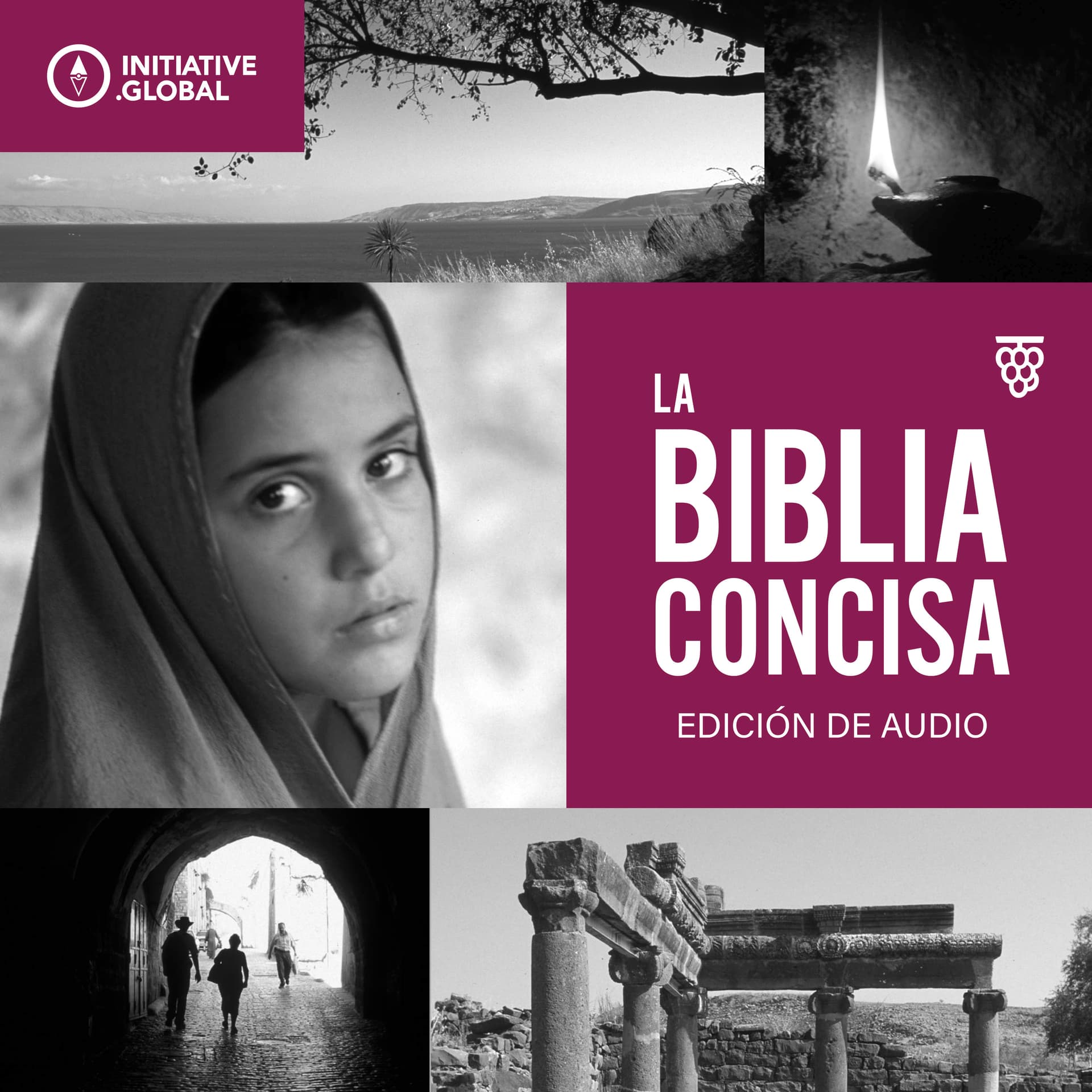 La Biblia Concisa - Podcasts